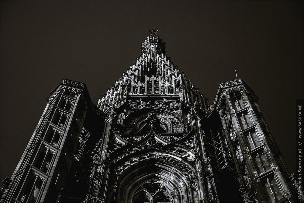 Sony Alpha a99 sample photo. Tower of strasbourg cathedral isolated photography