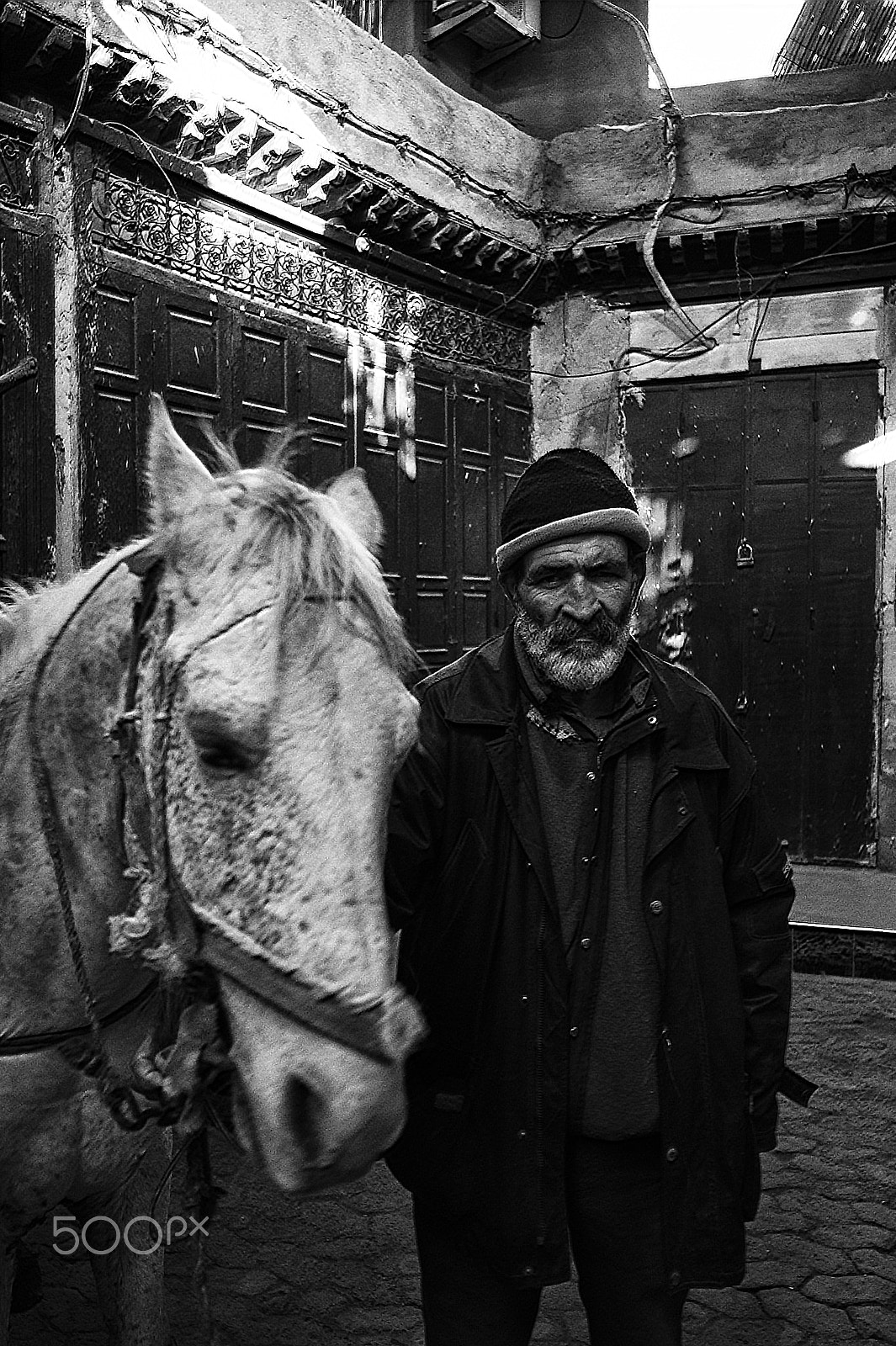 Leica Summicron-M 28mm F2 ASPH sample photo. Man and his horse... photography