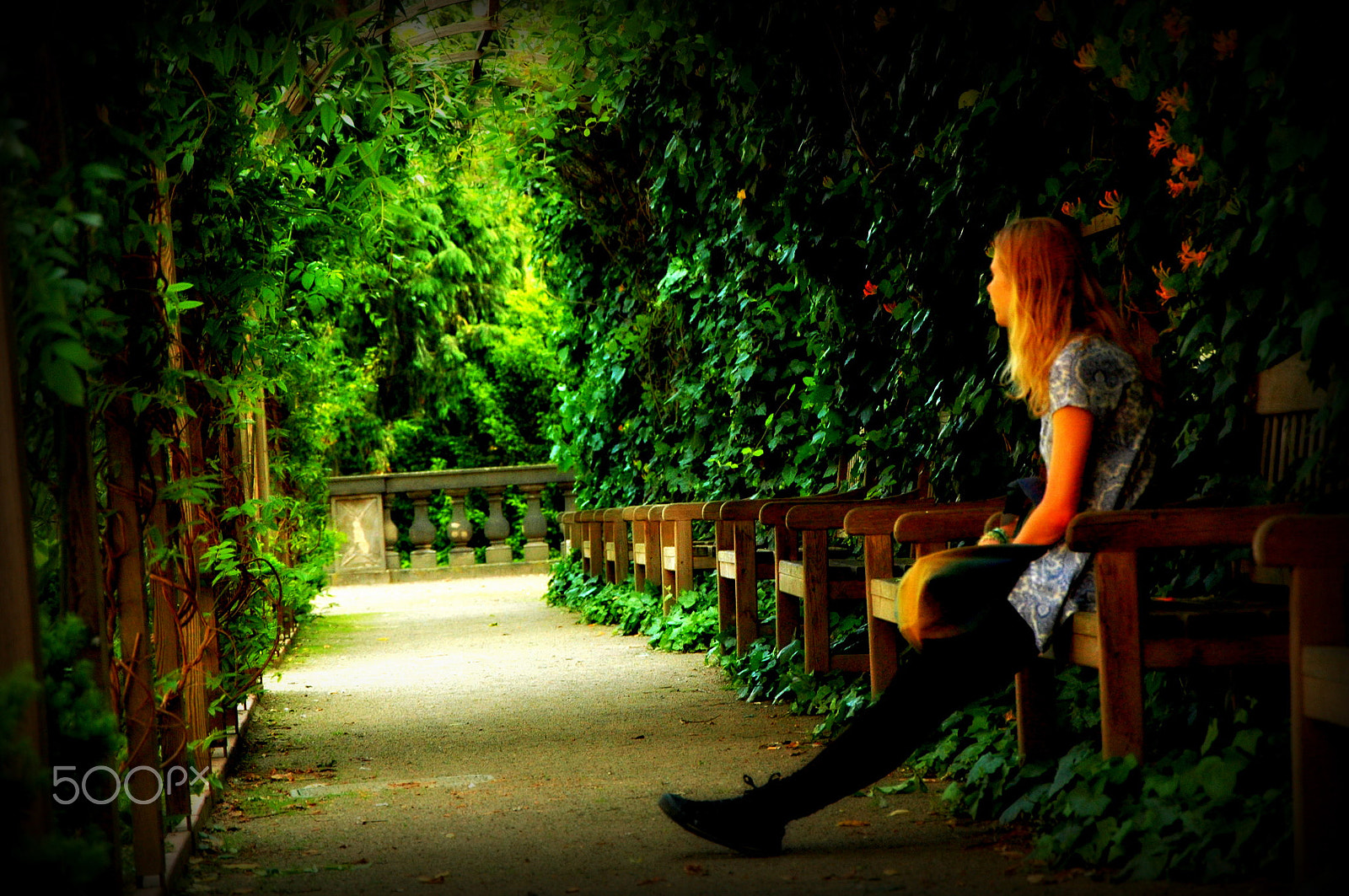 Nikon D70s sample photo. Peaceful avenue photography