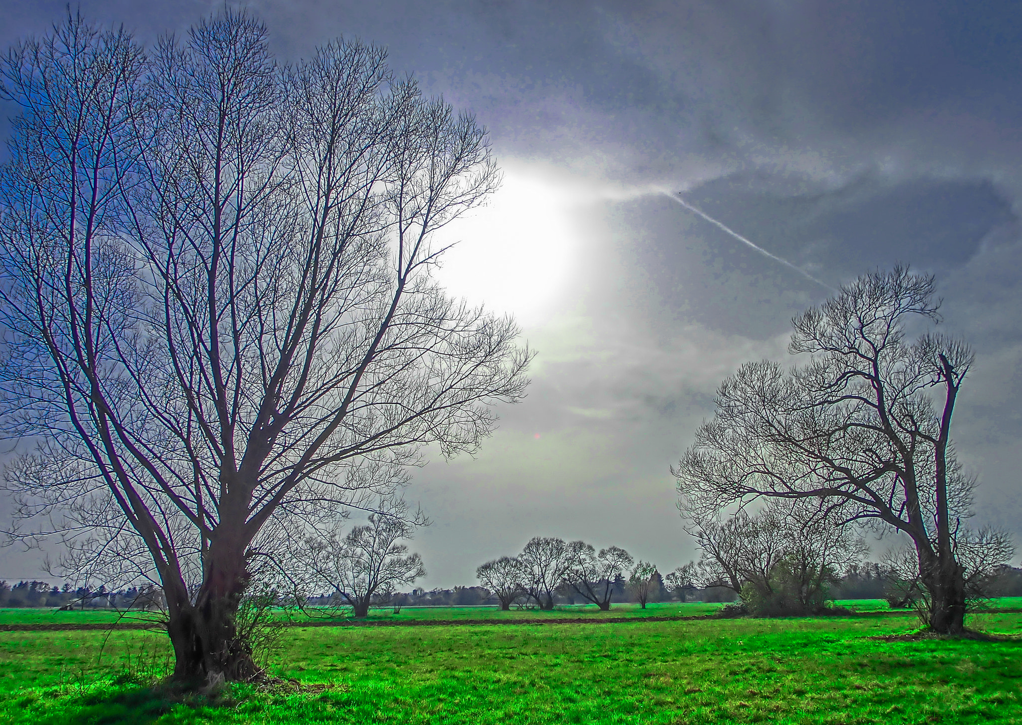 CASIO EX-ZR100 sample photo. Genesis photography