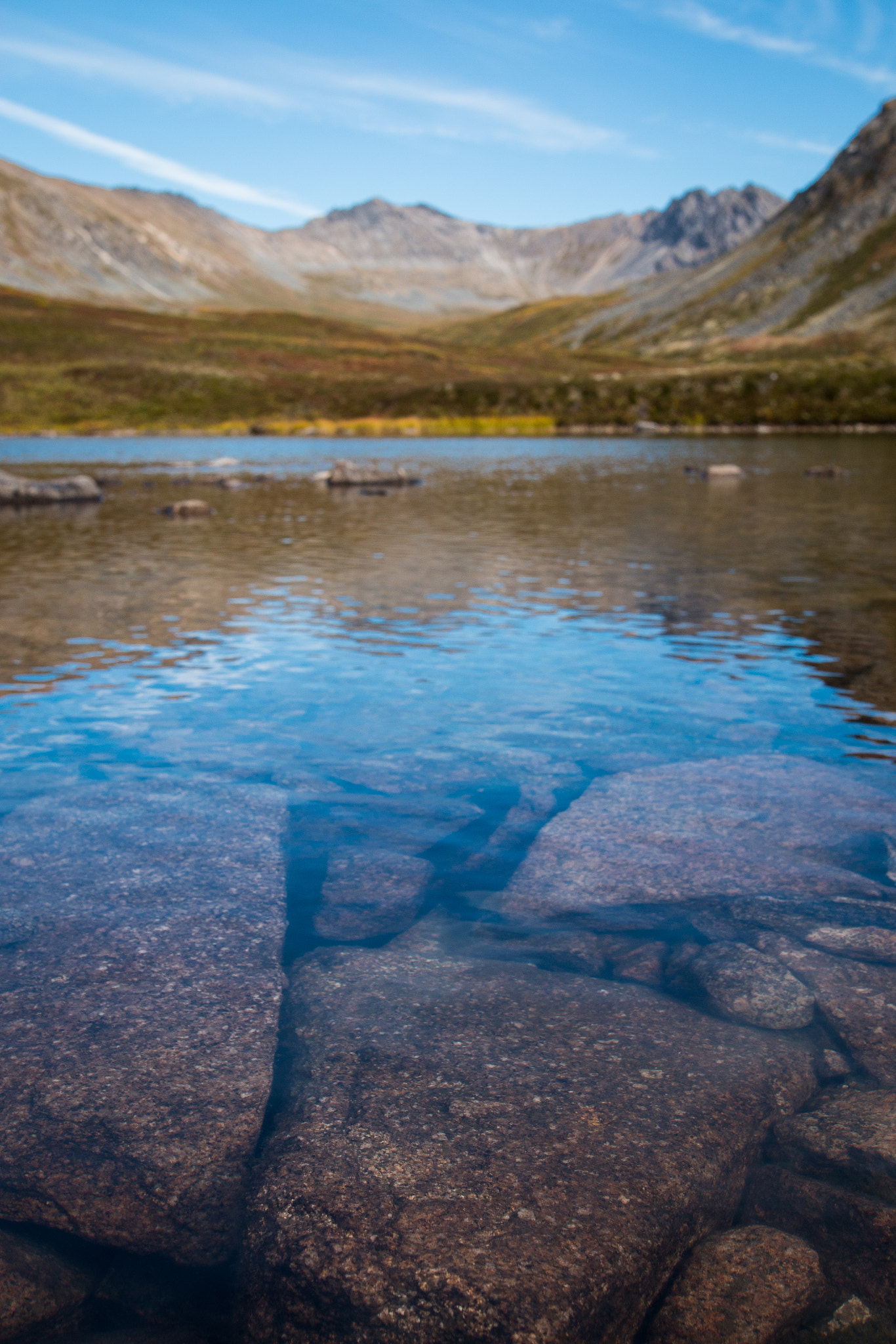 Sigma 24mm F1.4 DG HSM Art sample photo. Surface tension photography