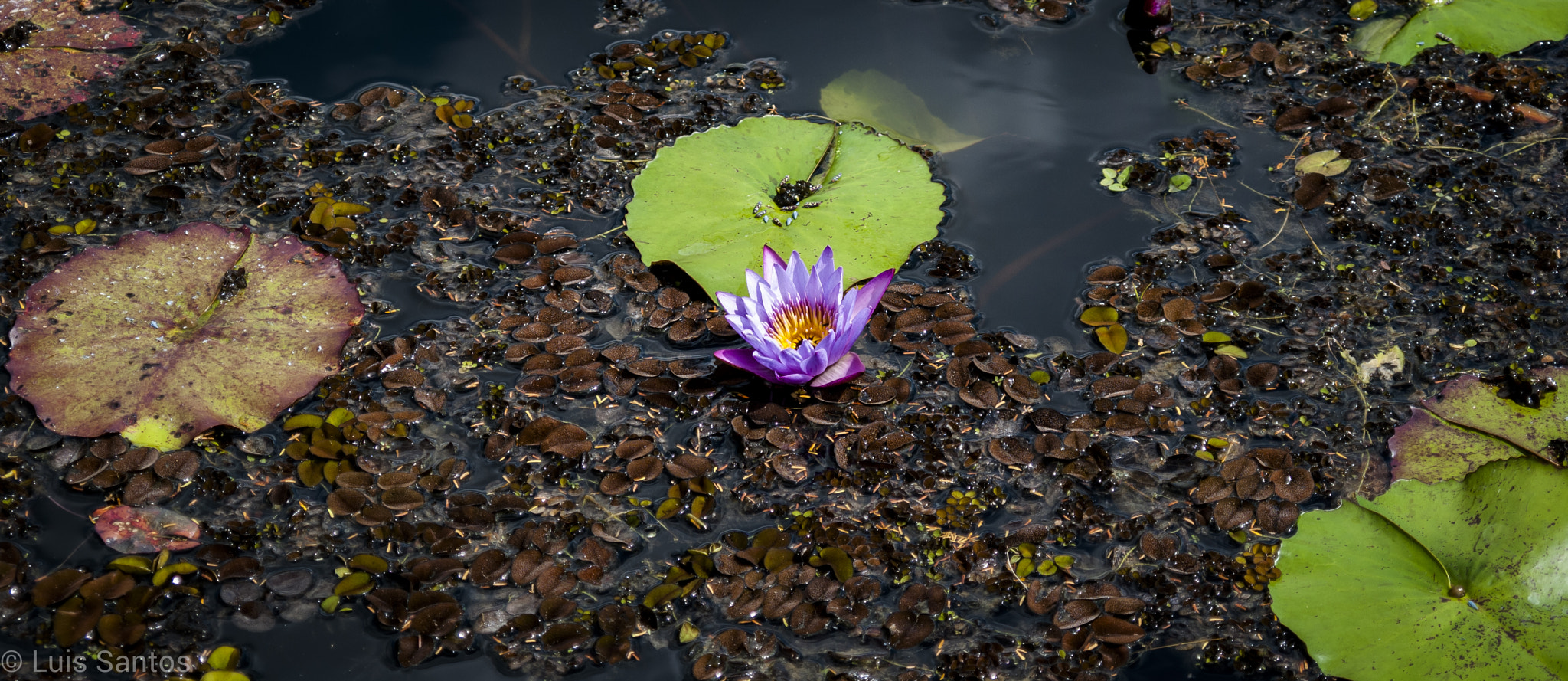 AF Zoom-Nikkor 35-80mm f/4-5.6D sample photo. Dsc photography