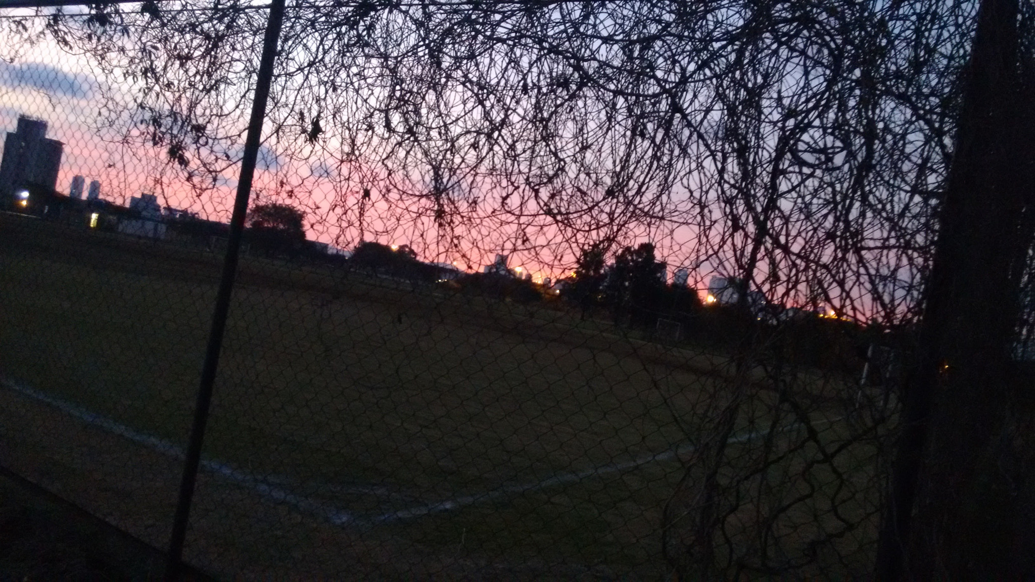 Motorola Moto G with 4G LTE (2nd Gen) sample photo. Sunset park photography