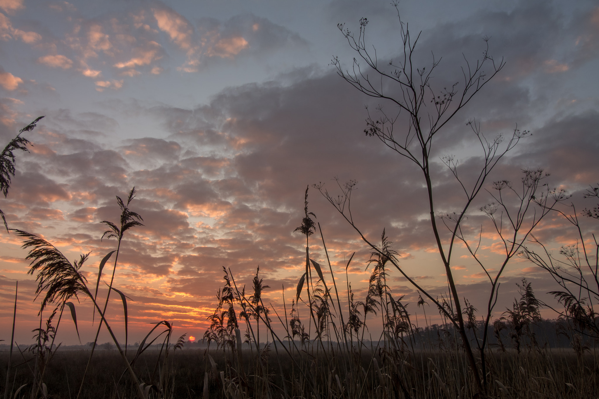 Canon EOS 1100D (EOS Rebel T3 / EOS Kiss X50) sample photo. Winter sunset at holme fen photography