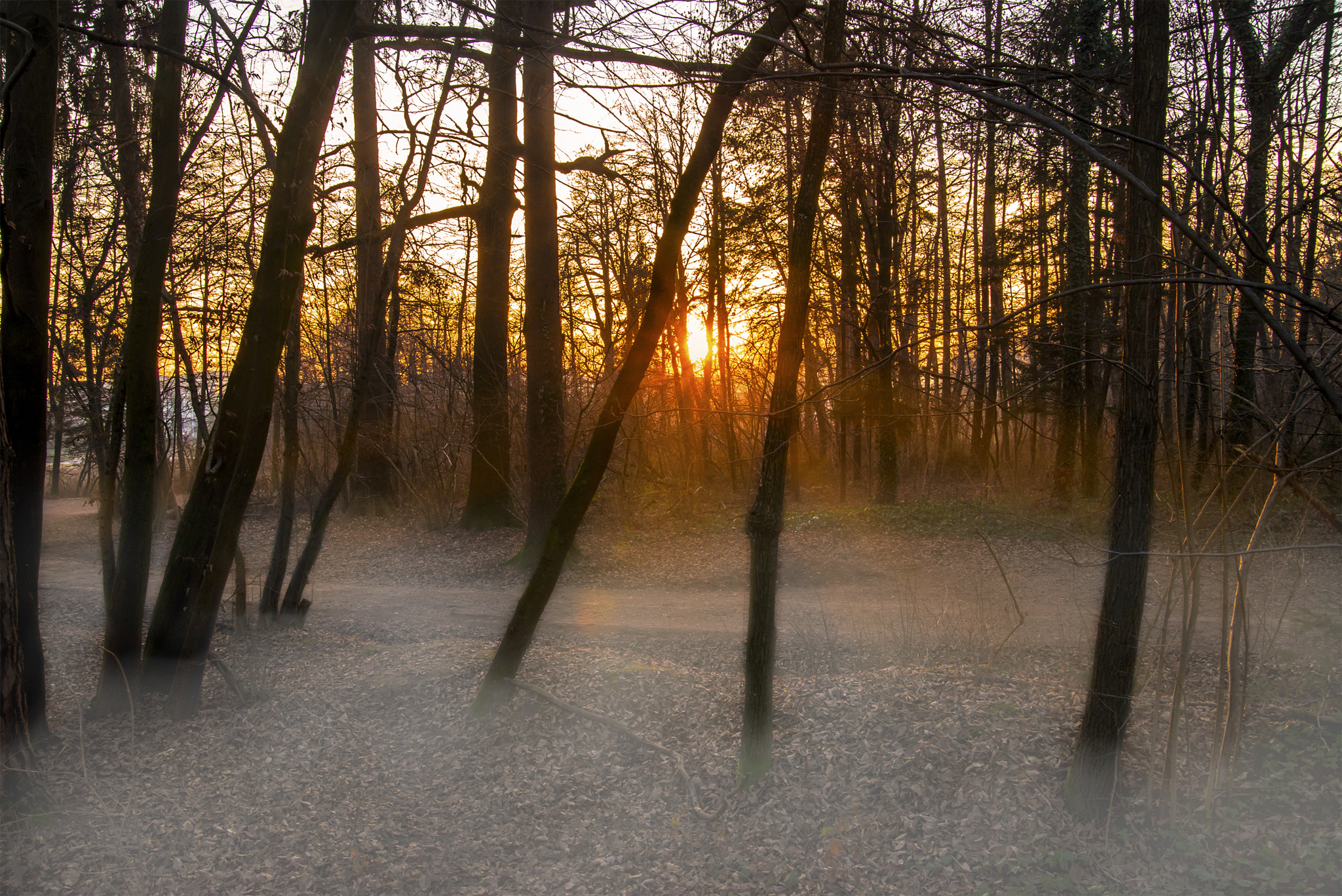 Nikon D800 sample photo. Sunrise photography