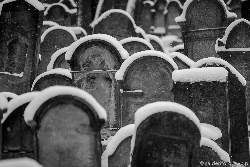 Canon EOS 6D sample photo. The old jewish cemetery photography