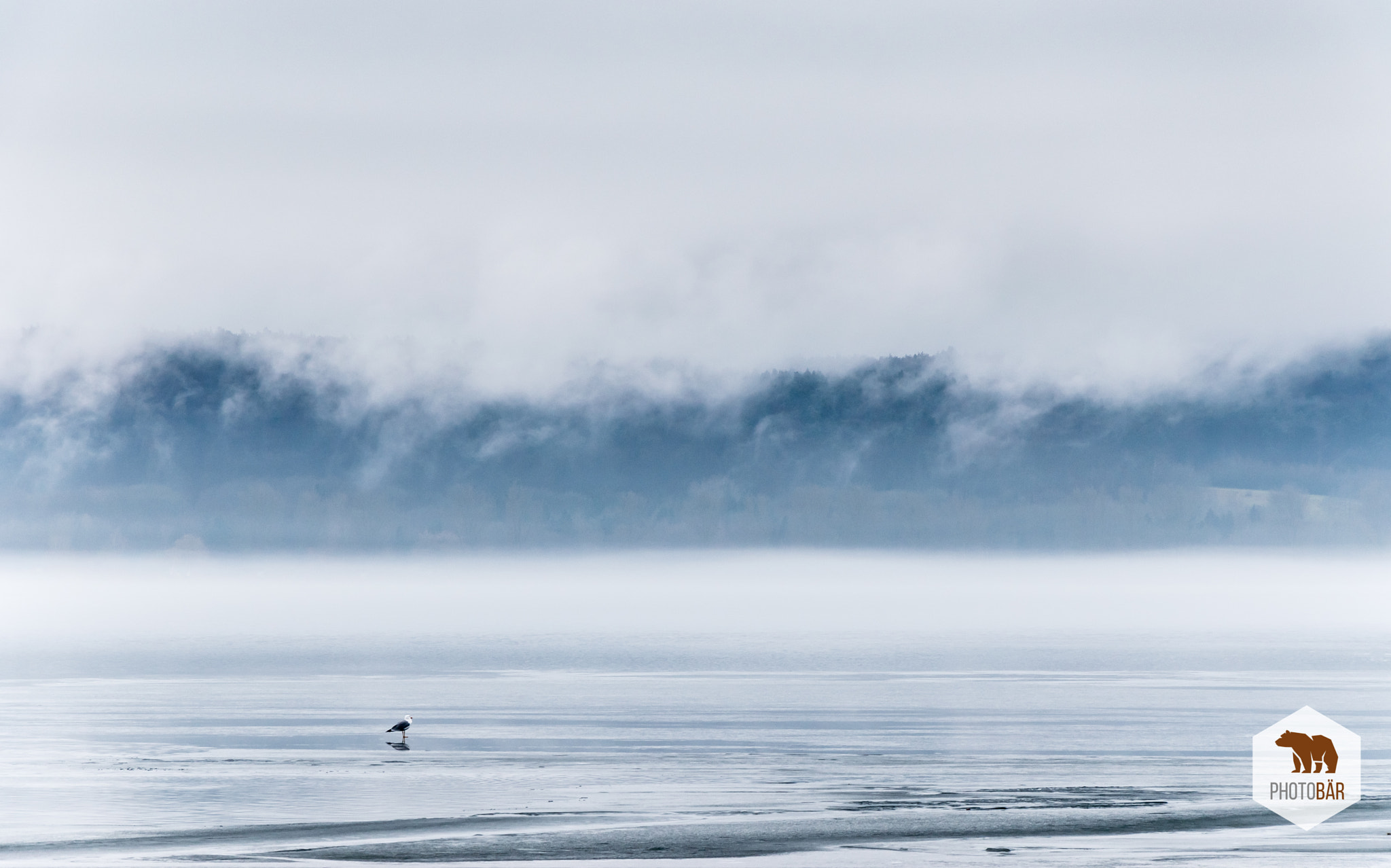 Nikon D5600 sample photo. Lonely in the mist photography