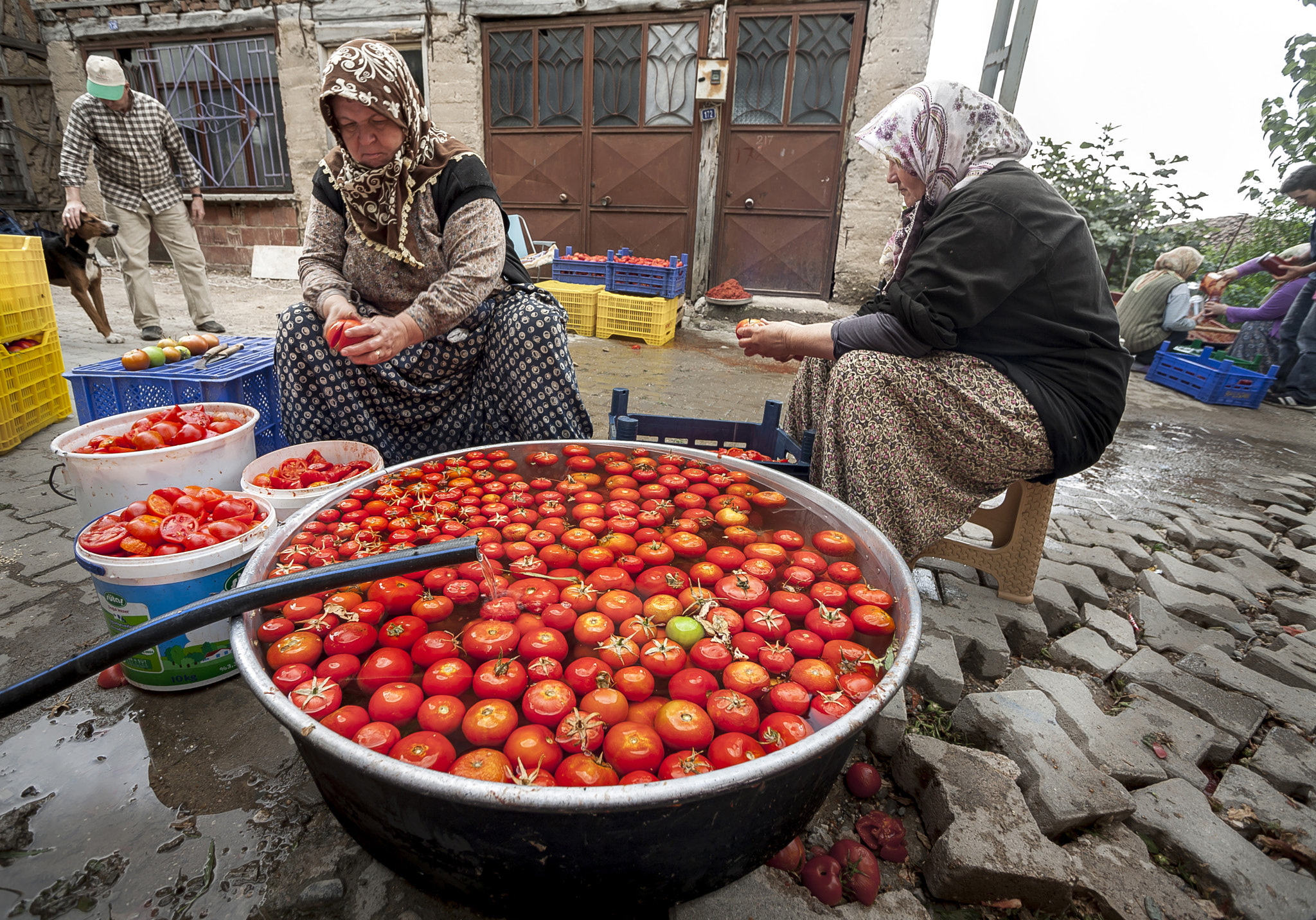 Canon EOS 5D sample photo. Tomato paste photography