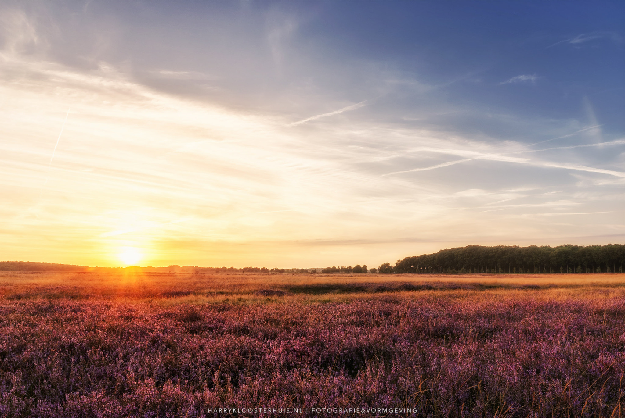 Nikon D80 sample photo. Sunset at the ginkelse heide photography