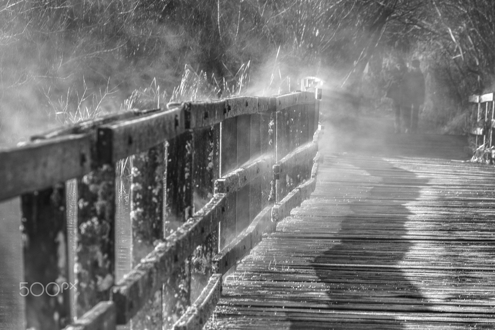 Canon EF 75-300mm f/4-5.6 USM sample photo. The walk photography