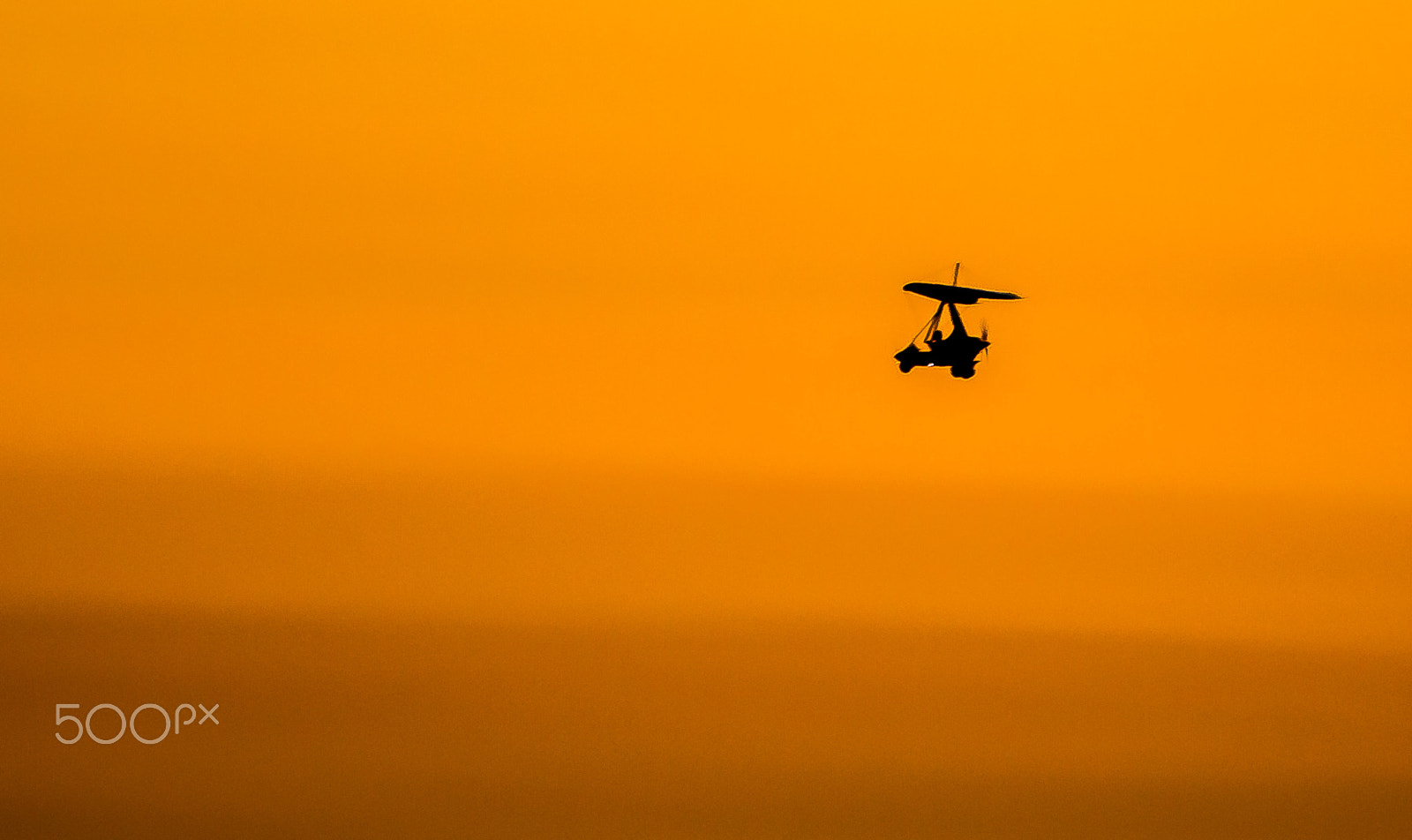 Sigma 150-500mm F5-6.3 DG OS HSM sample photo. Freedom photography