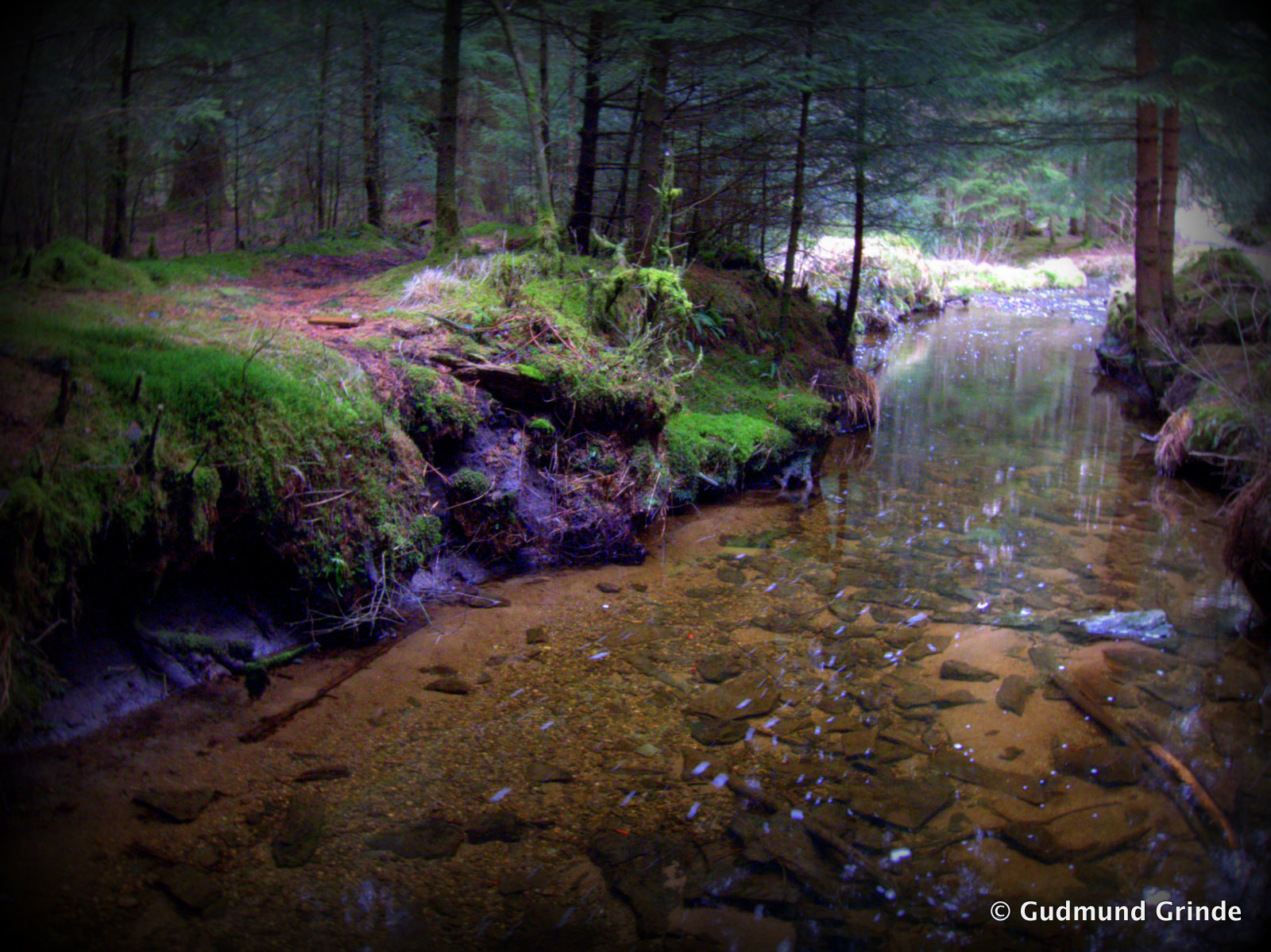 Canon PowerShot S90 sample photo. Quiet mountain stream photography