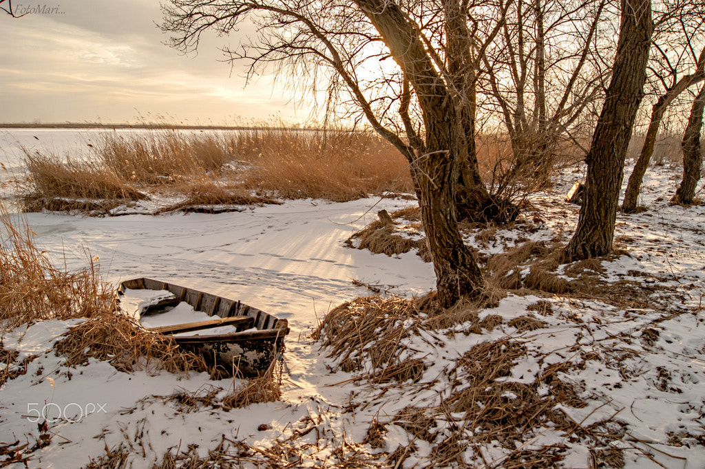 Sony Alpha DSLR-A390 + Sony DT 18-55mm F3.5-5.6 SAM sample photo. Золотой закат. photography