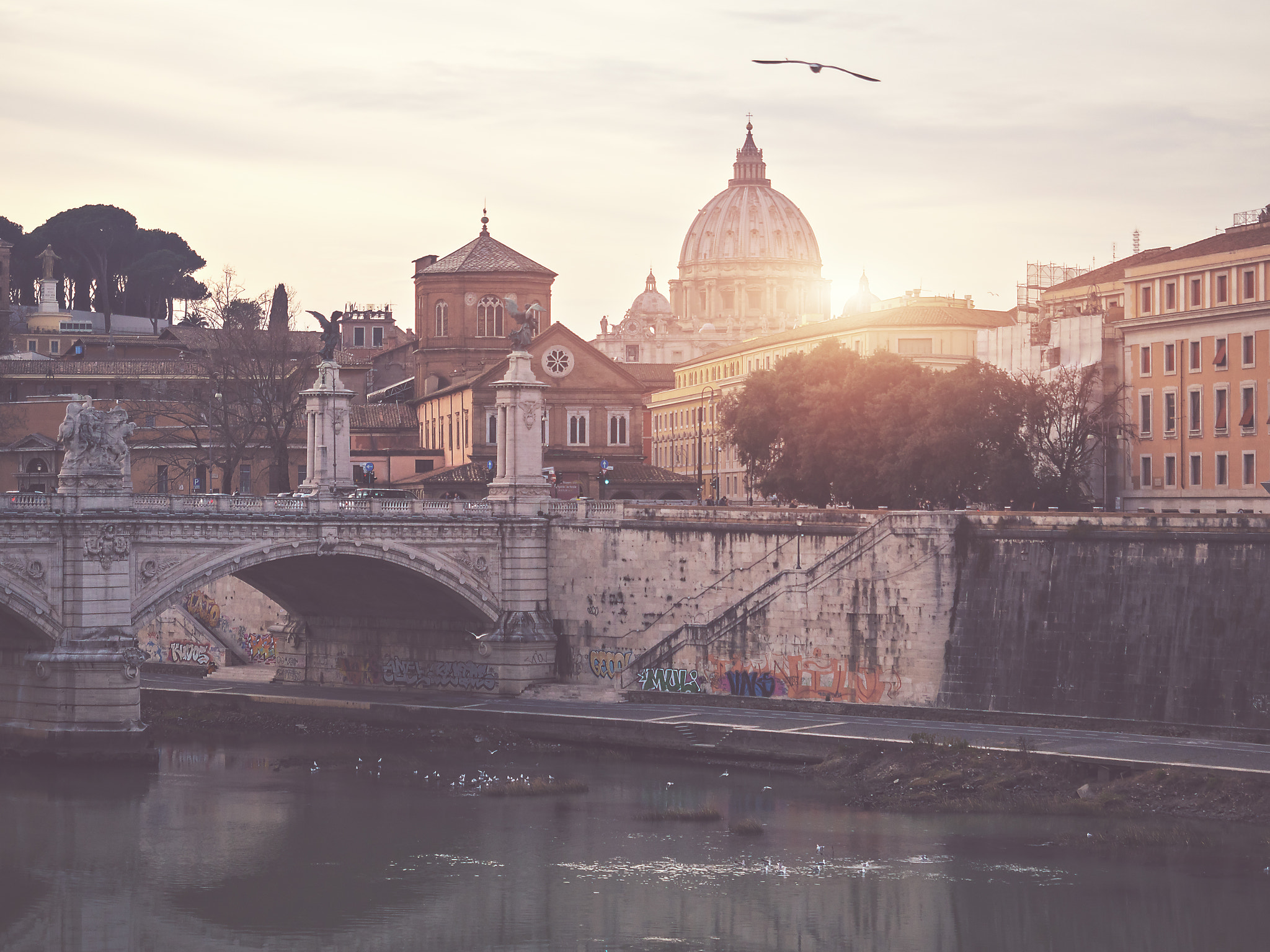 Panasonic Lumix DMC-GX8 + Olympus M.Zuiko Digital ED 12-40mm F2.8 Pro sample photo. Vatican photography