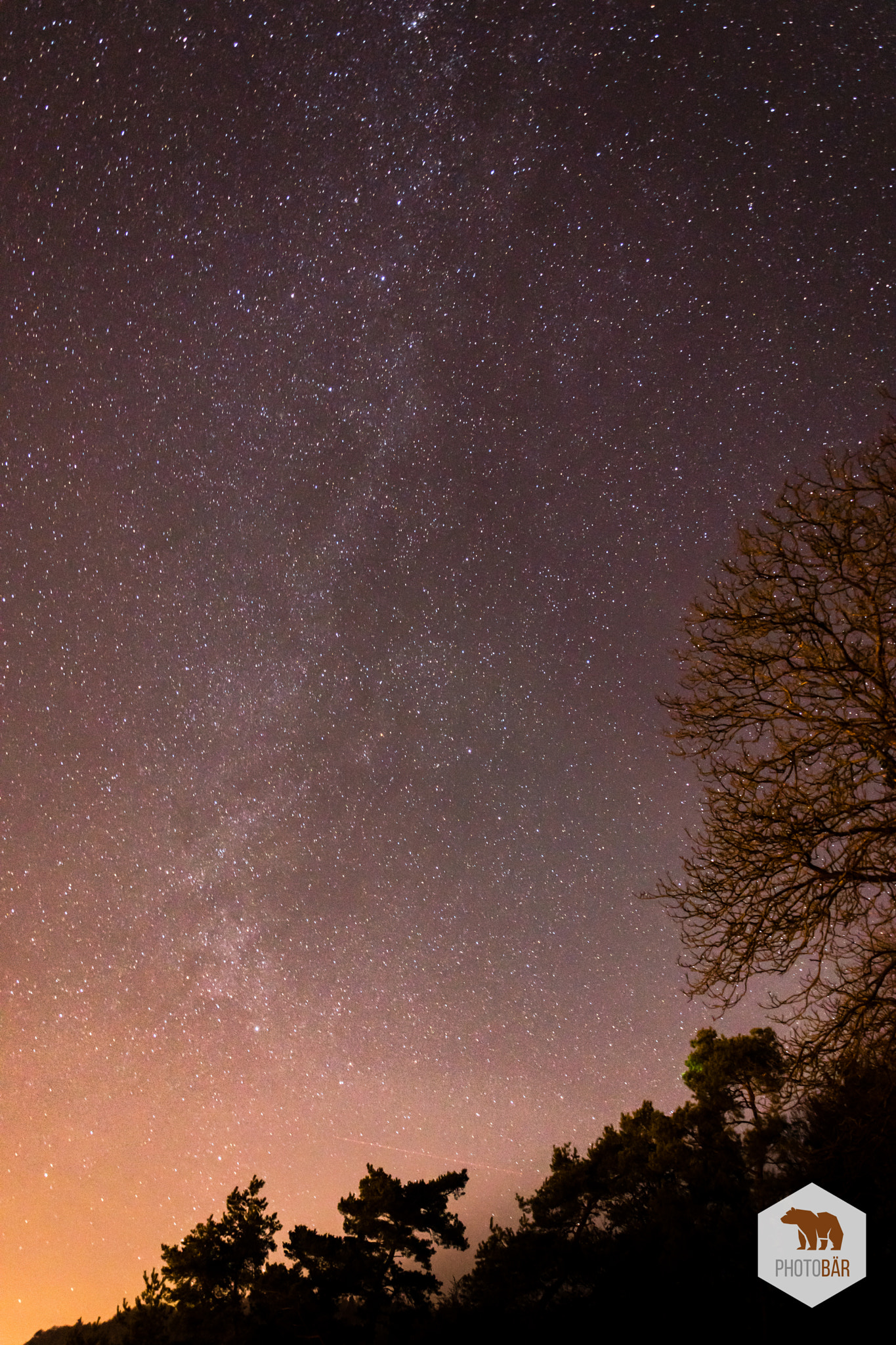Nikon D5600 sample photo. Milkyway photography