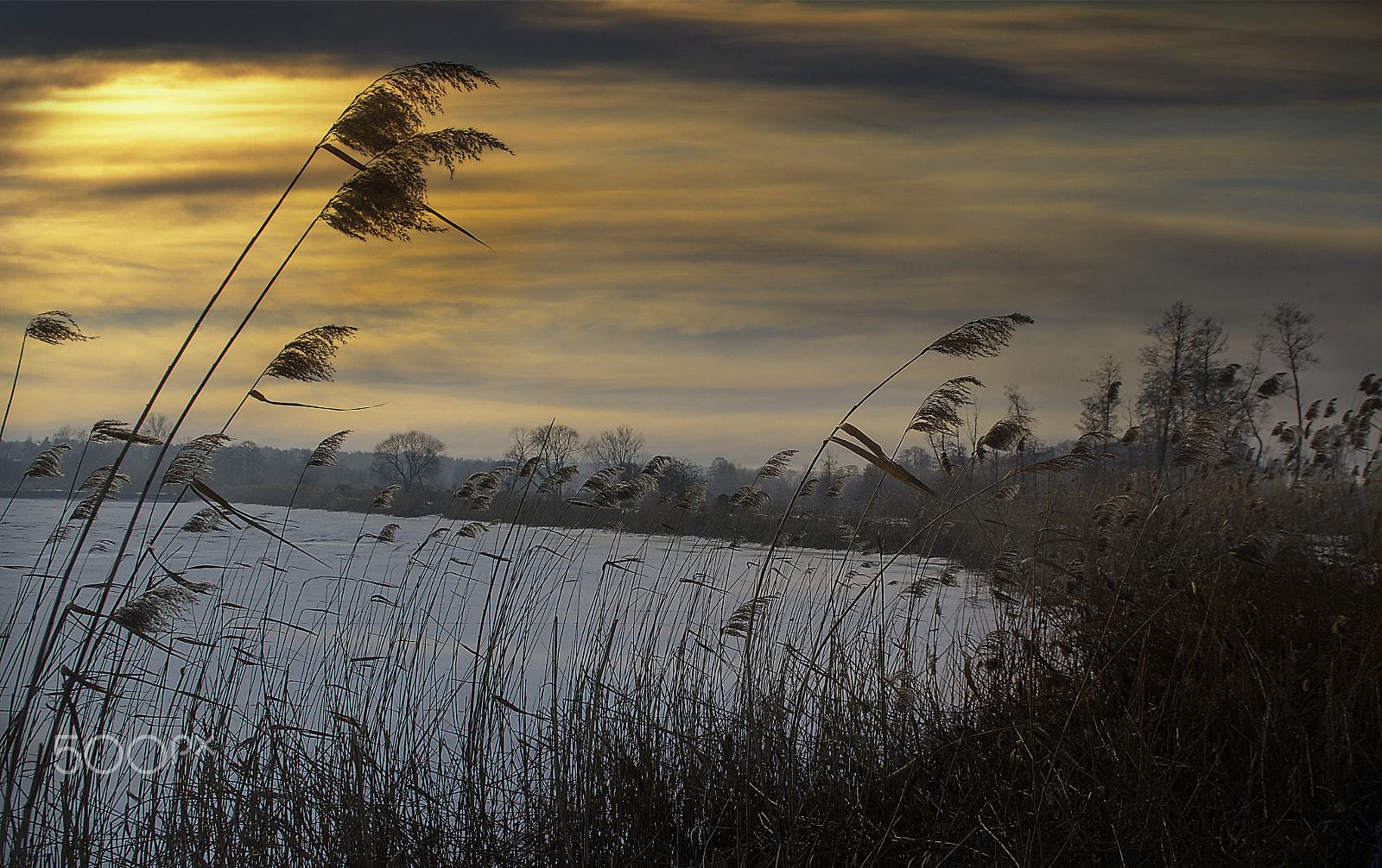 Pentax K-5 sample photo. Quietly photography