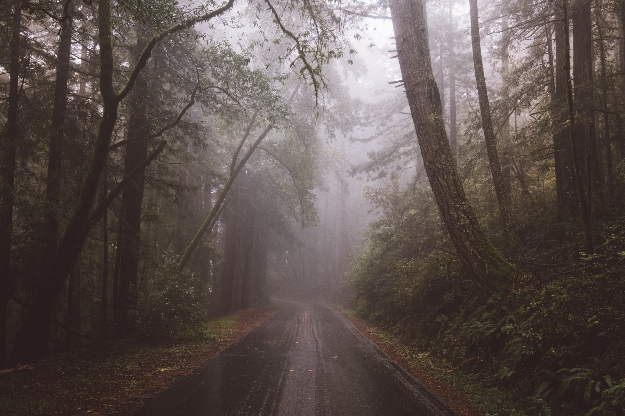 Fujifilm X-Pro2 + Fujifilm XF 10-24mm F4 R OIS sample photo. Mount tamalpais photography