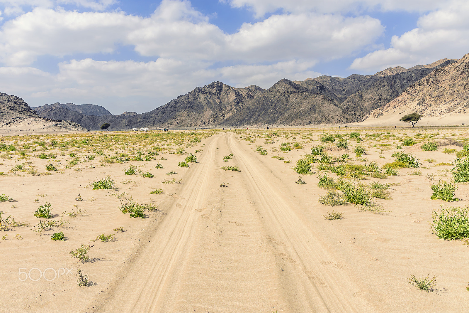 Sigma 18-250mm F3.5-6.3 DC OS HSM sample photo. The mountain way in amazing nature photography