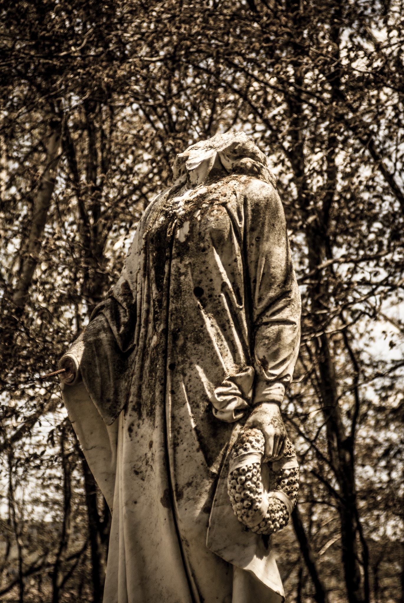 Sigma 17-70mm F2.8-4.5 (D) sample photo. Primeval wood photography