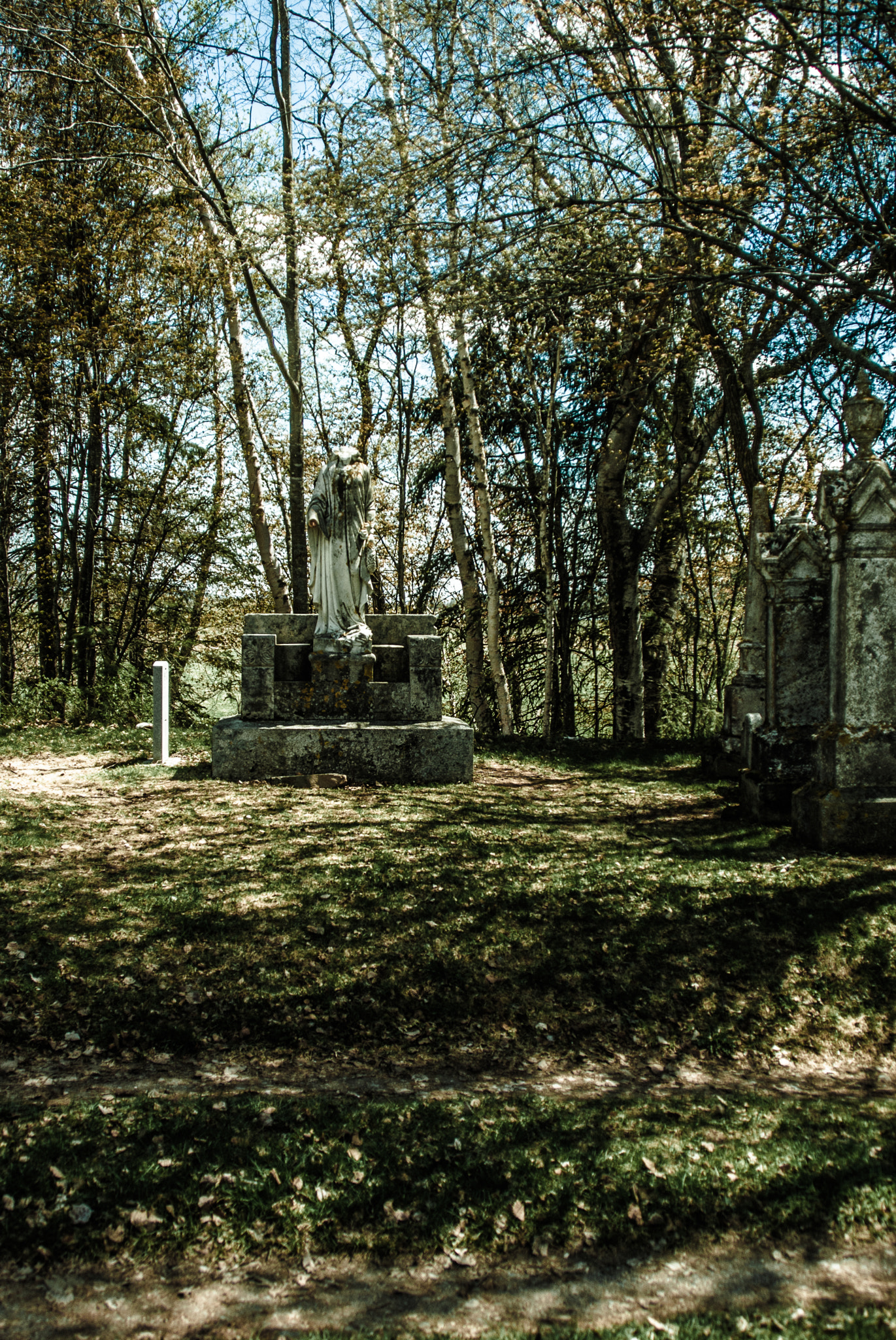 Minolta/Sony AF 24-105mm F3.5-4.5 (D) sample photo. Stone guardian photography