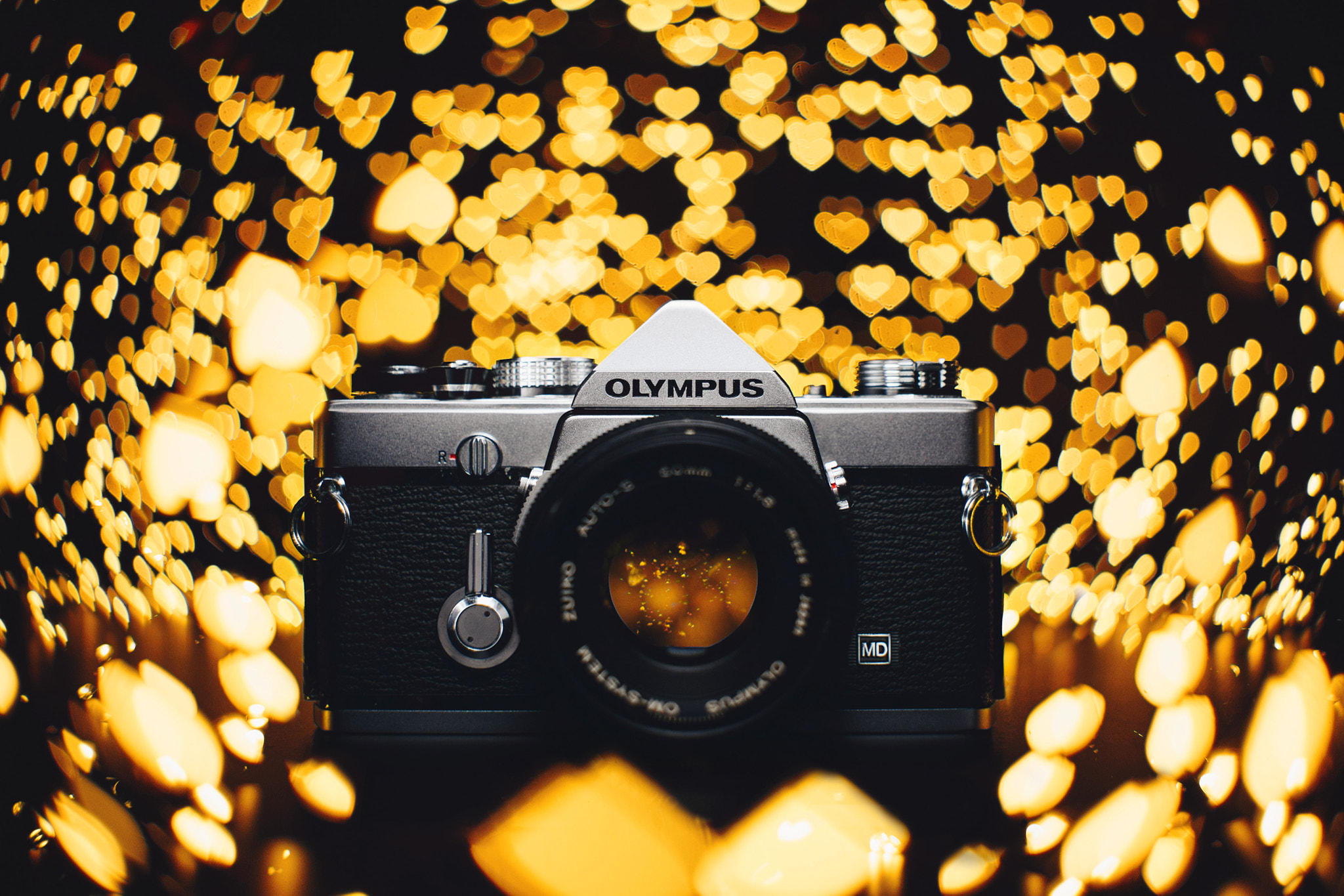 Canon EF 35-80mm f/4-5.6 sample photo. Olympus om-1n photography