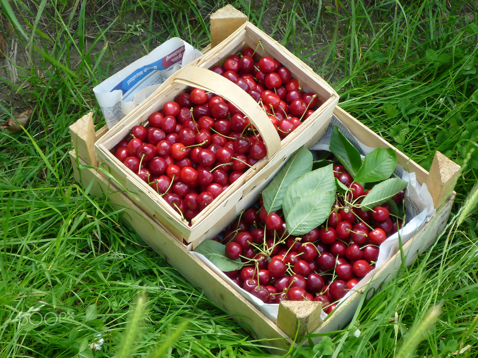 Panasonic DMC-FS15 sample photo. Baskets full of cherries photography