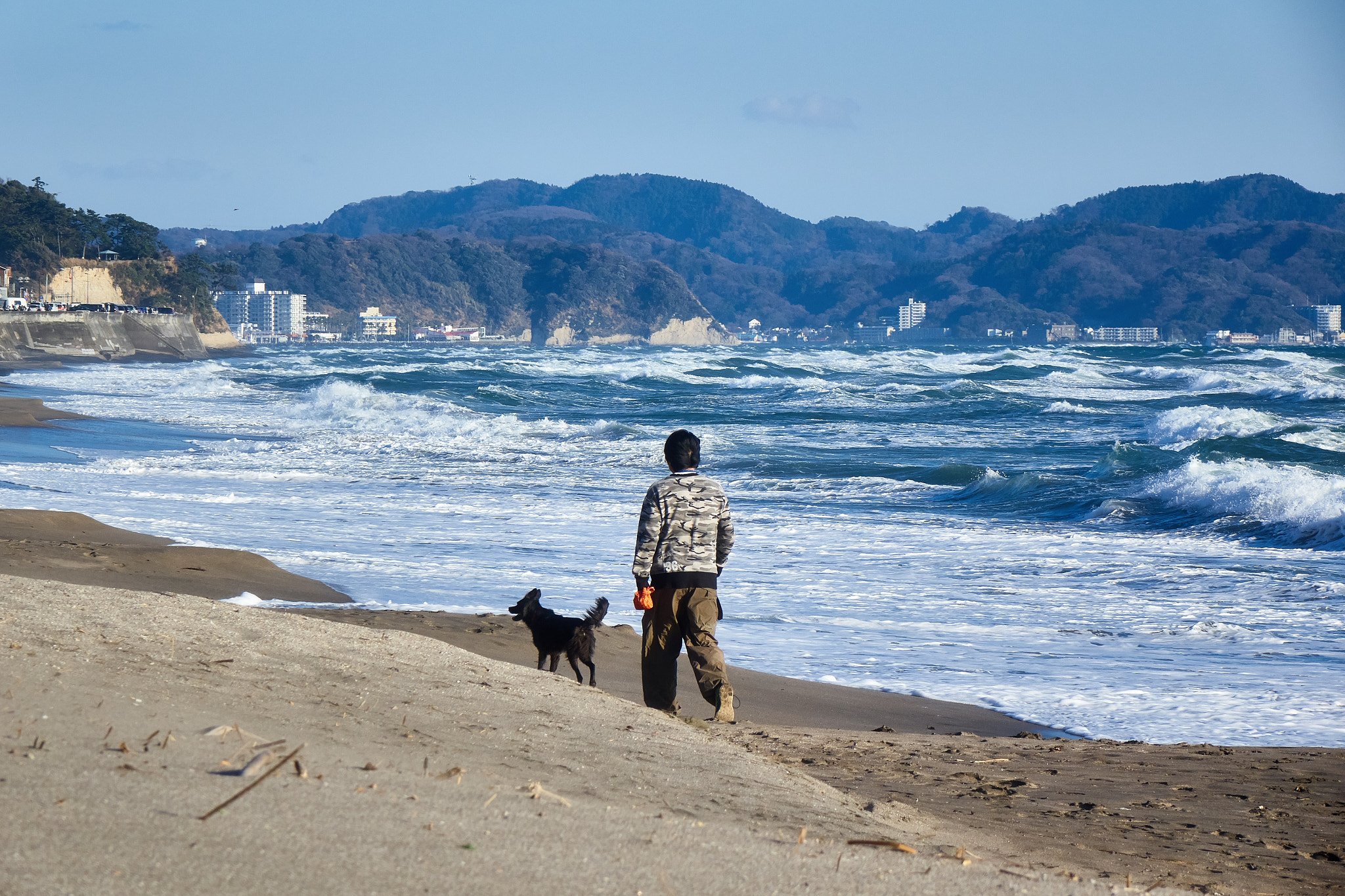 Sony Cyber-shot DSC-RX10 + Sony Cyber-shot DSC-RX10 sample photo. Beach walk photography