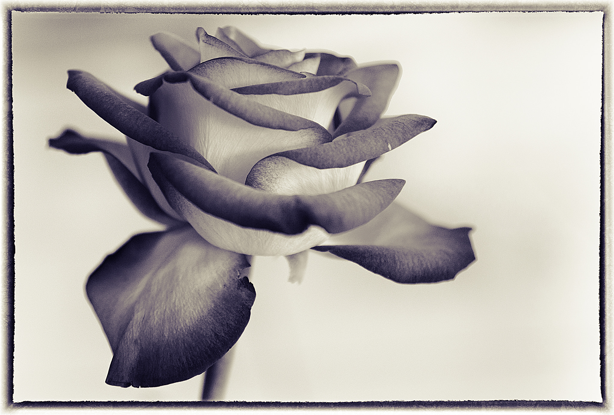 Sony Alpha DSLR-A900 sample photo. Nostalgia photography