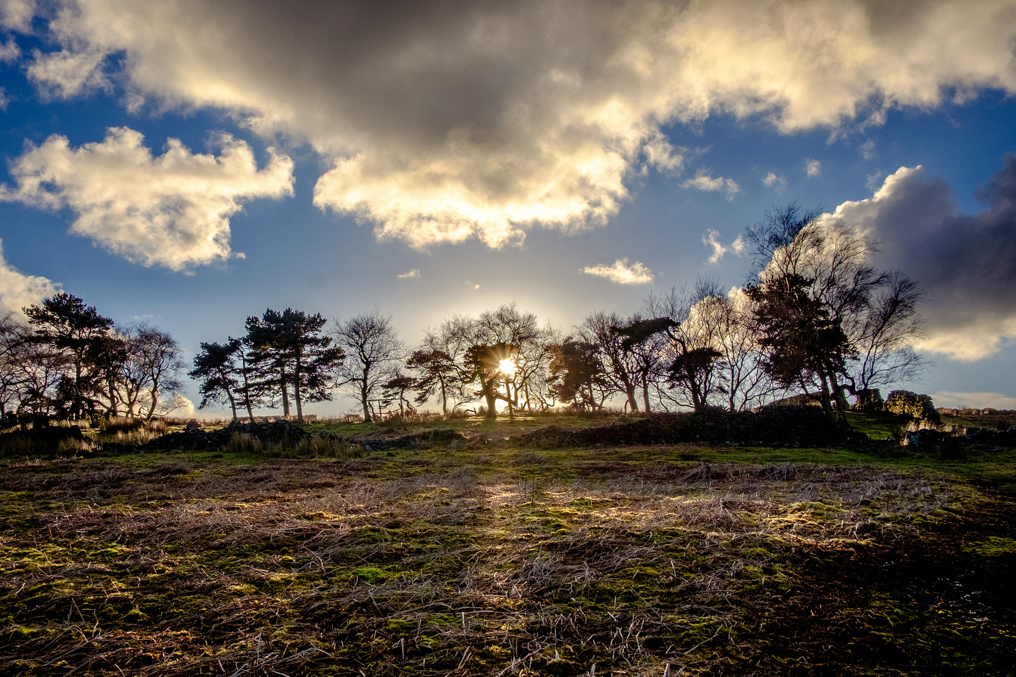 Fujifilm X-E2 + Fujifilm XF 18mm F2 R sample photo. Oaking clough plantation photography