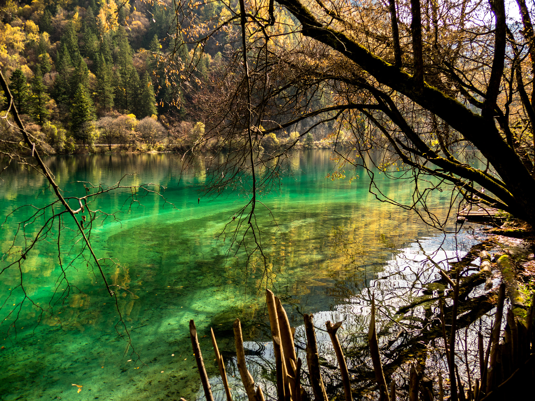 Olympus OM-D E-M5 II sample photo. Jiuzhaigou valley photography