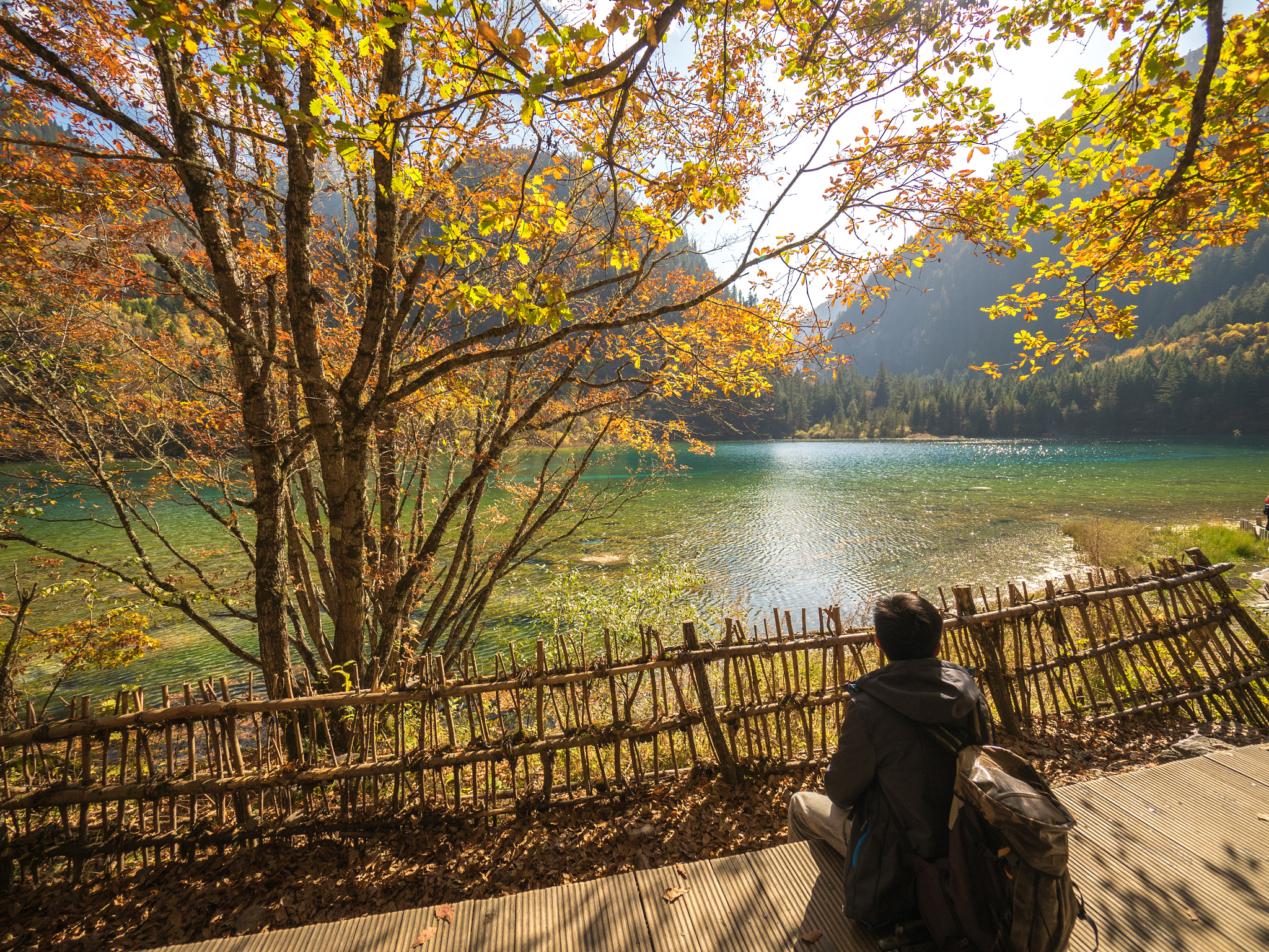 Olympus OM-D E-M5 II + Olympus M.Zuiko Digital ED 7-14mm F2.8 PRO sample photo. Sea of five flowers - jiuzhaigou valley photography