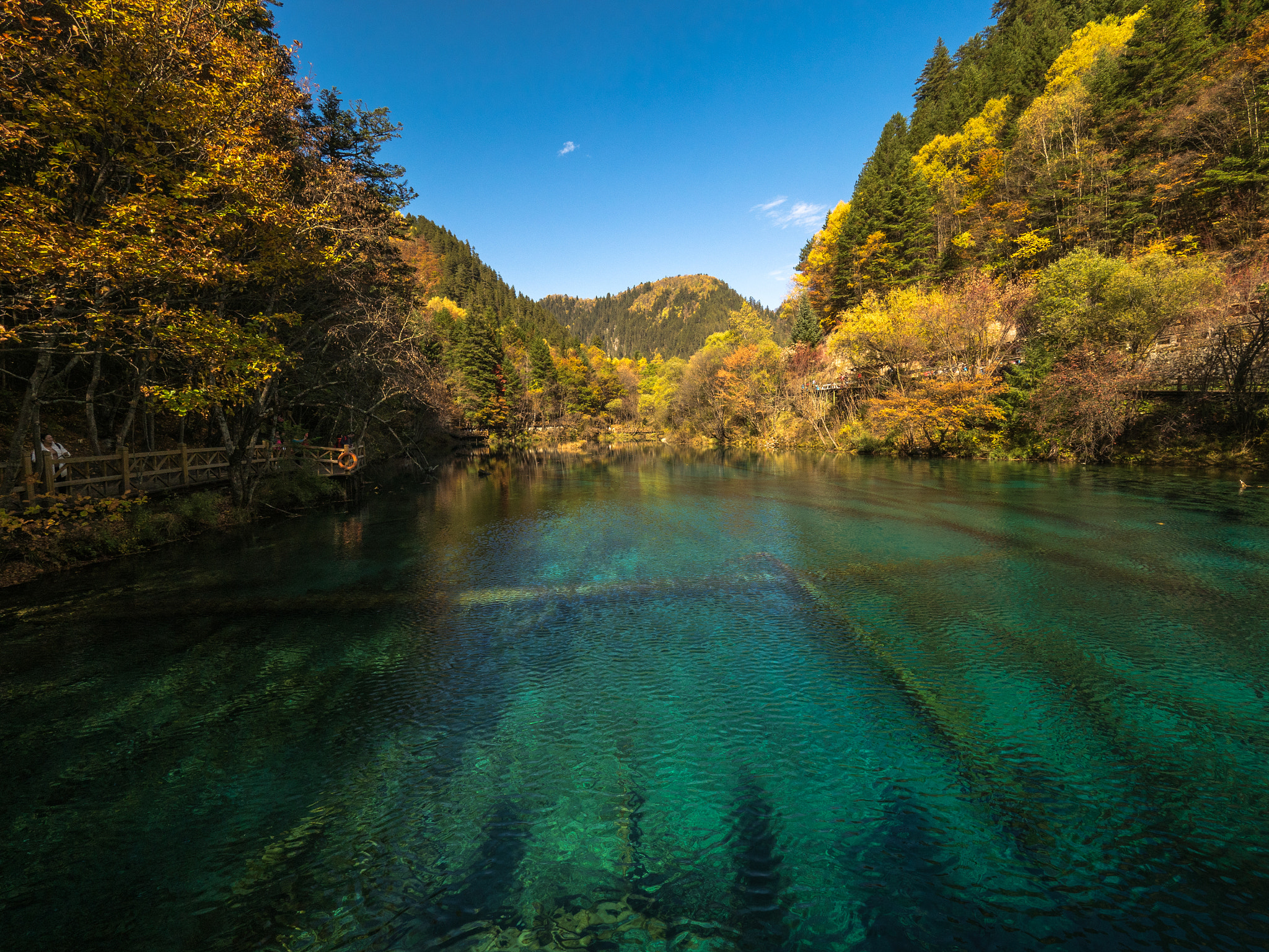 Olympus OM-D E-M5 II + Olympus M.Zuiko Digital ED 7-14mm F2.8 PRO sample photo. Jiuzhaigou valley photography