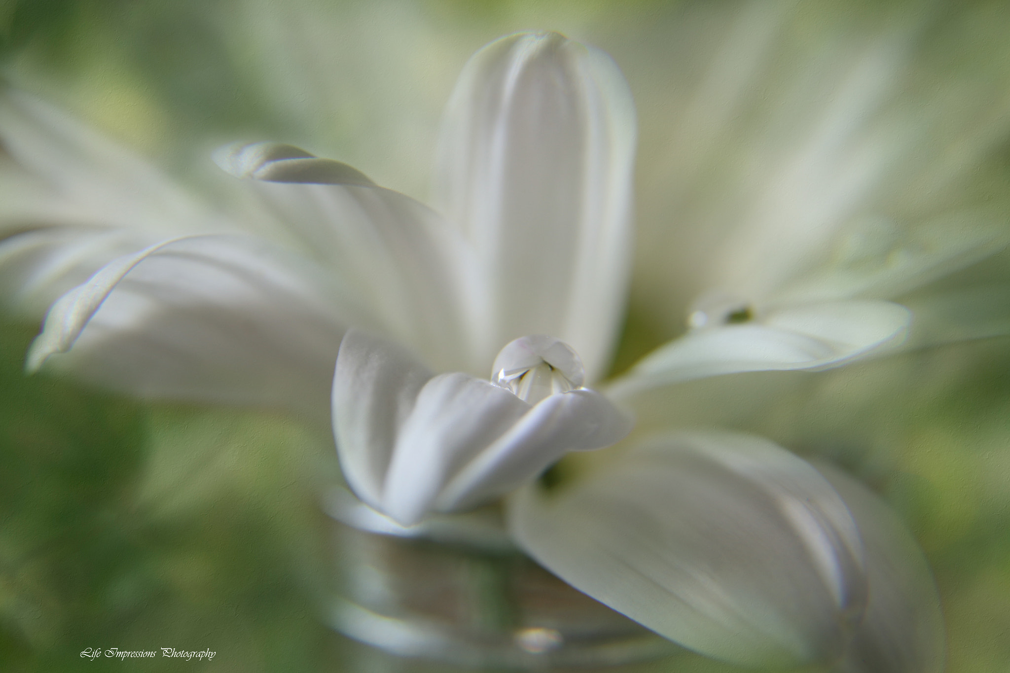 Canon EF-S 17-85mm F4-5.6 IS USM sample photo. A little bit of sunlight photography