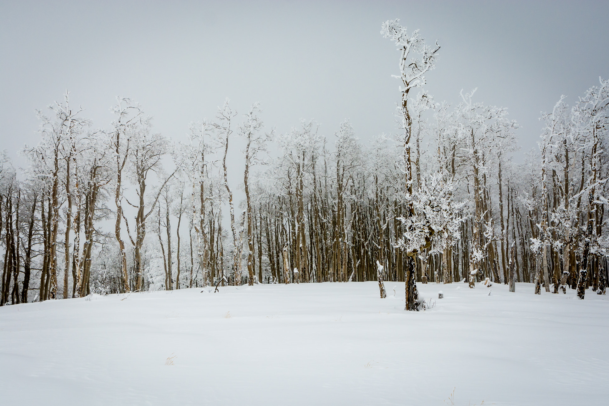 Tamron SP 24-70mm F2.8 Di VC USD sample photo. Frozen mountain photography