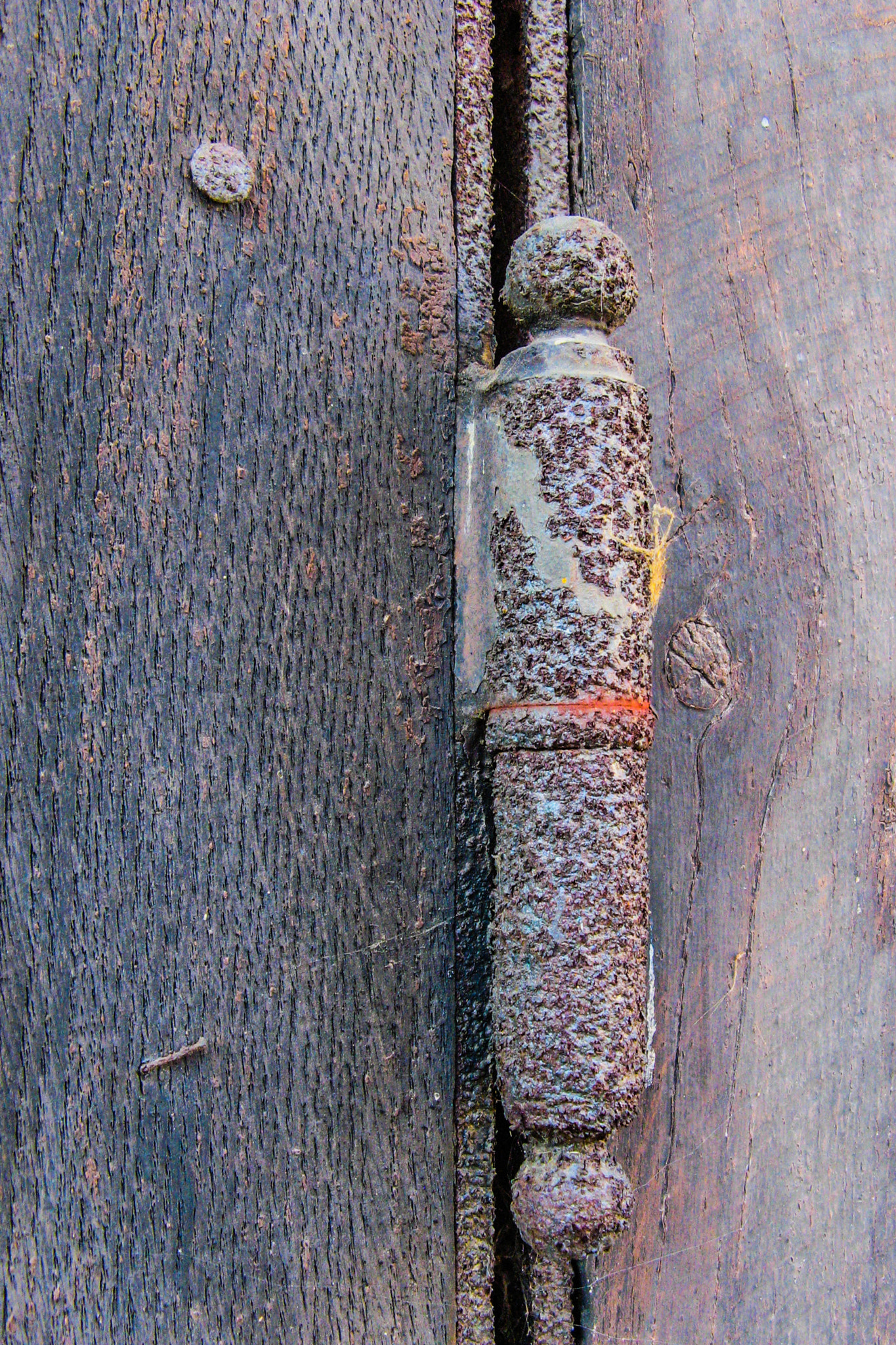 Canon POWERSHOT A700 sample photo. Le gond (the hinge) photography