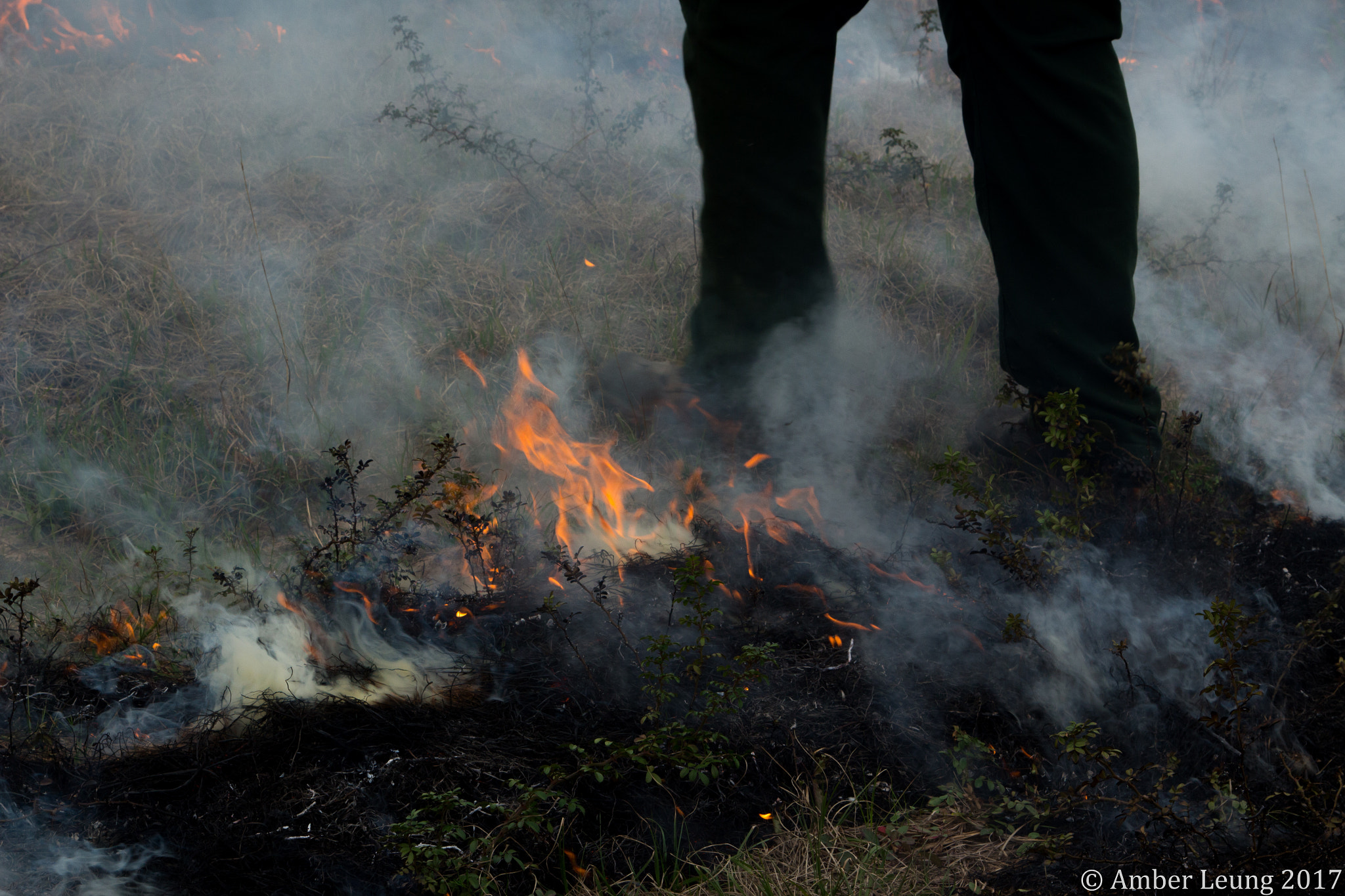 Canon EOS 650D (EOS Rebel T4i / EOS Kiss X6i) sample photo. Stroll through the fire photography
