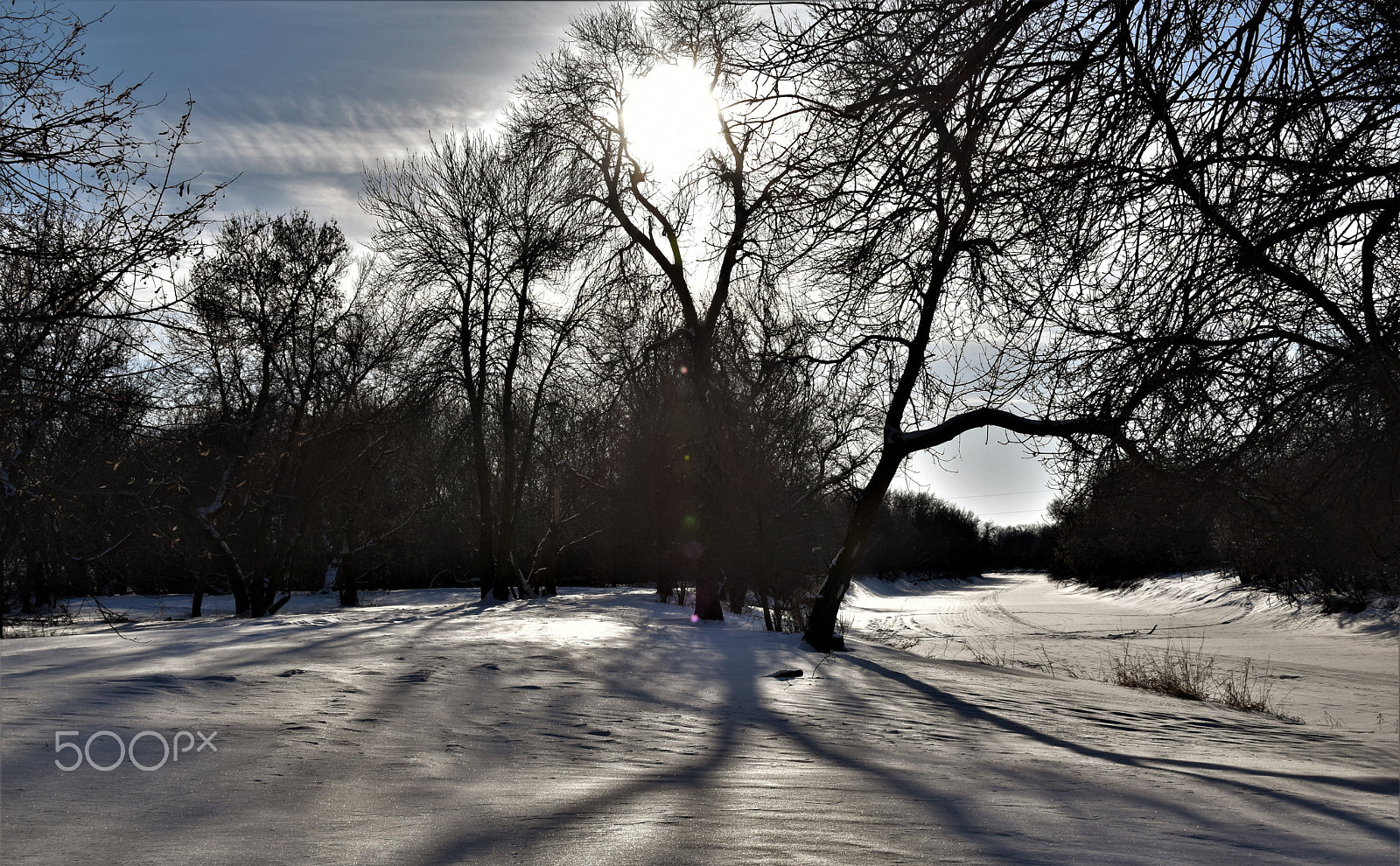 Nikon D5500 sample photo. Sun & snow photography