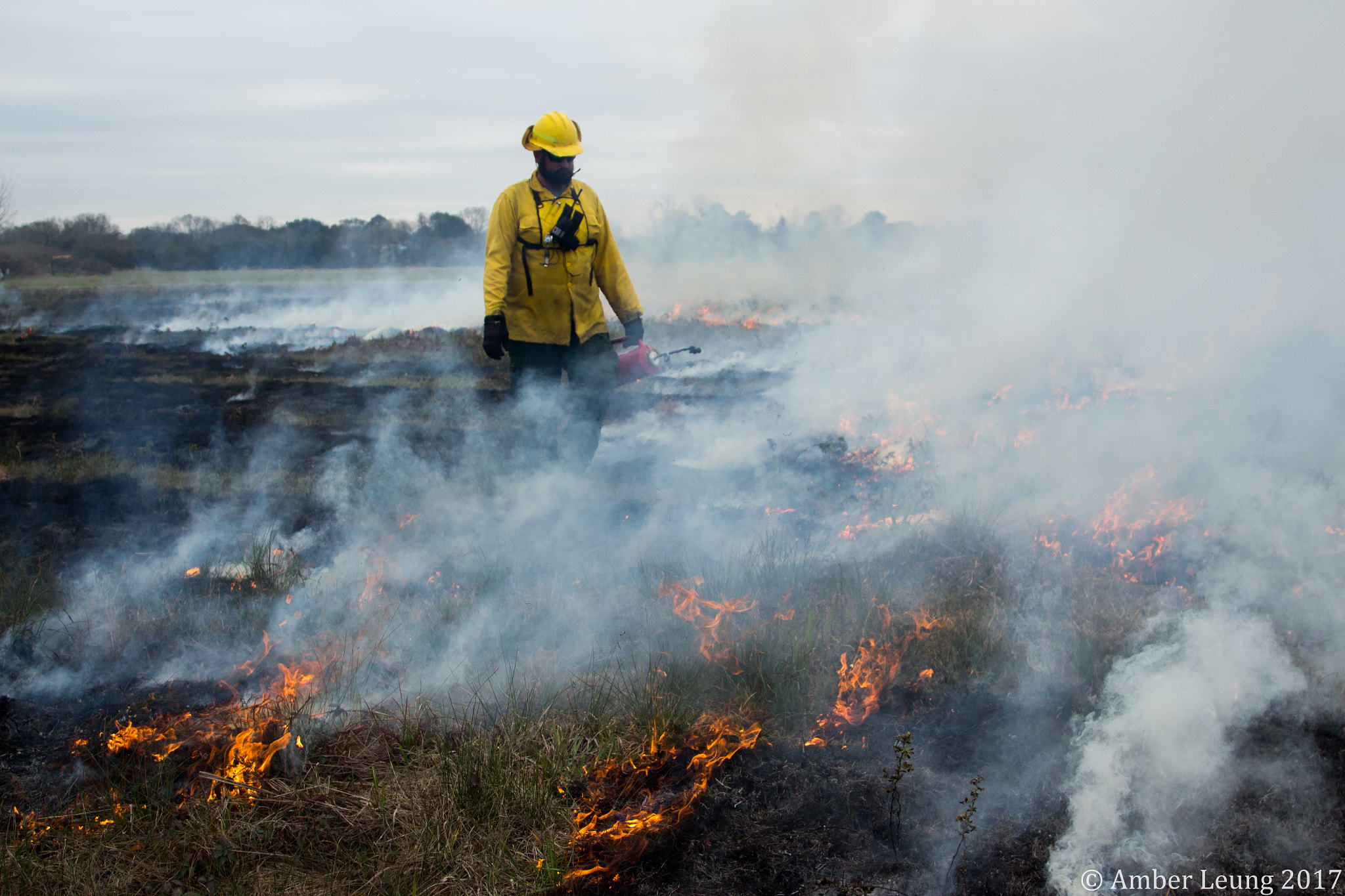 Canon EOS 650D (EOS Rebel T4i / EOS Kiss X6i) sample photo. Controlled burn photography