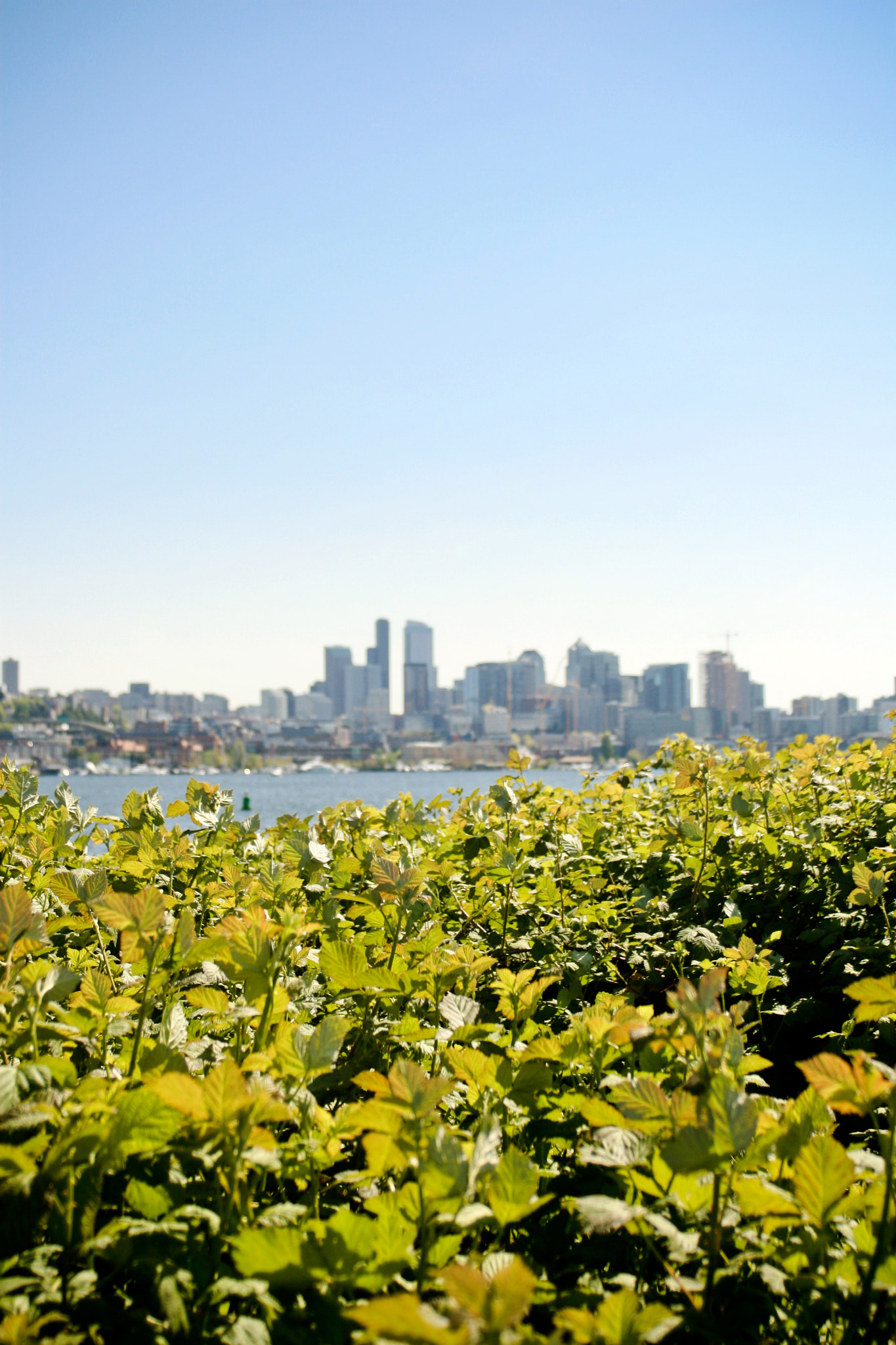 EF35-80mm f/4-5.6 sample photo. A place in the distance photography