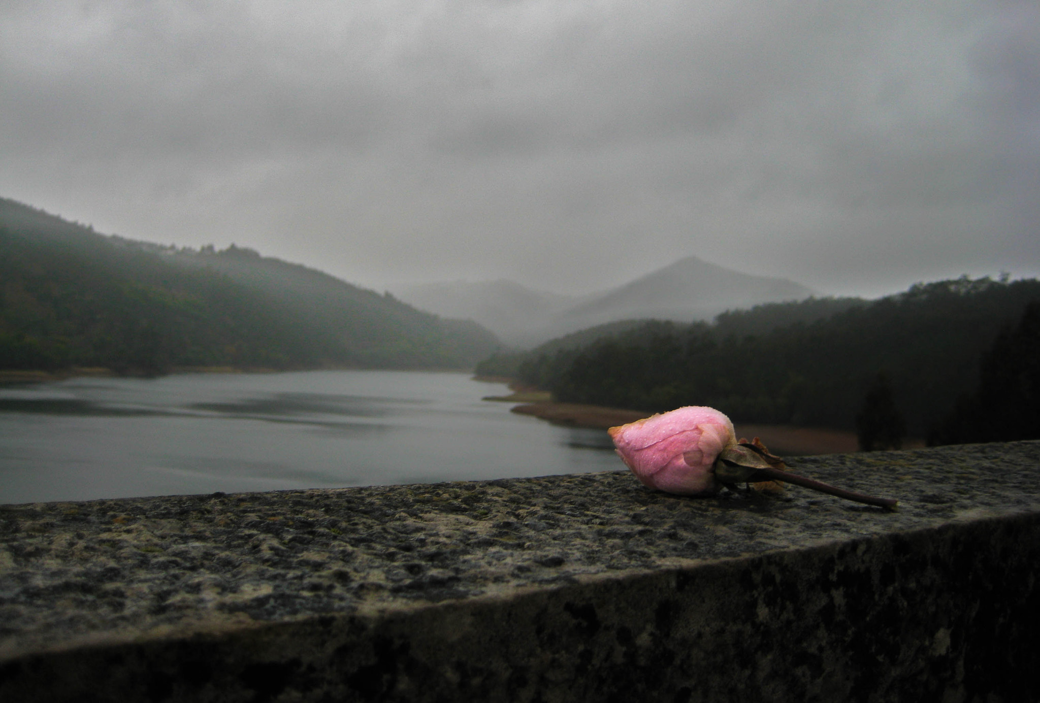Canon PowerShot ELPH 115 IS (IXUS 132 / IXY 90F) sample photo. Embrace your soul photography
