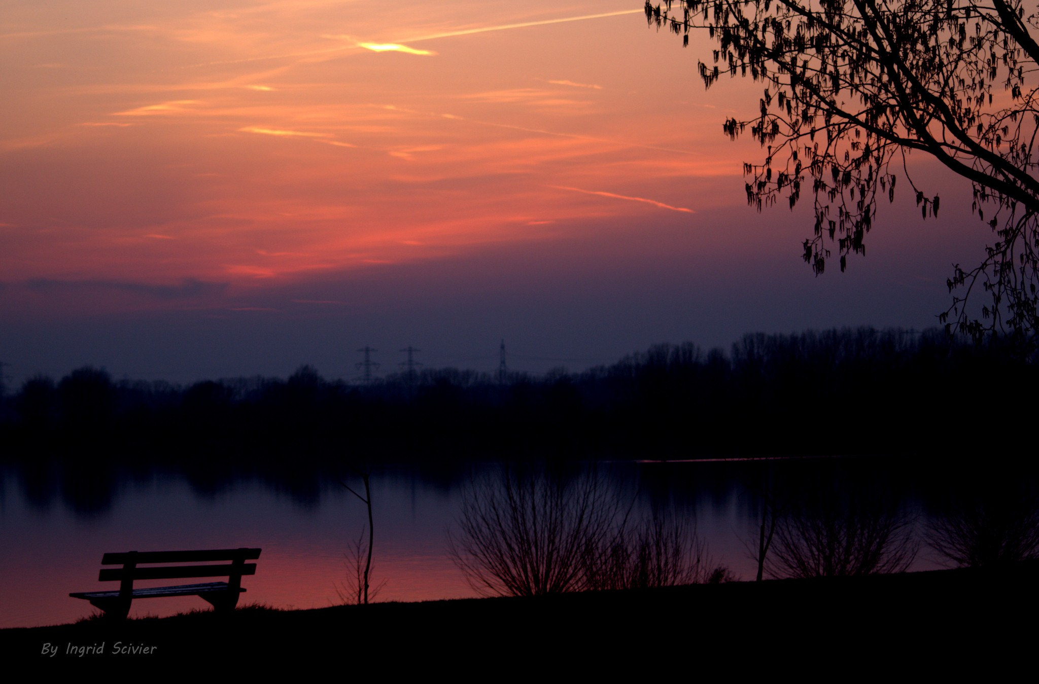 Canon EOS 60D sample photo