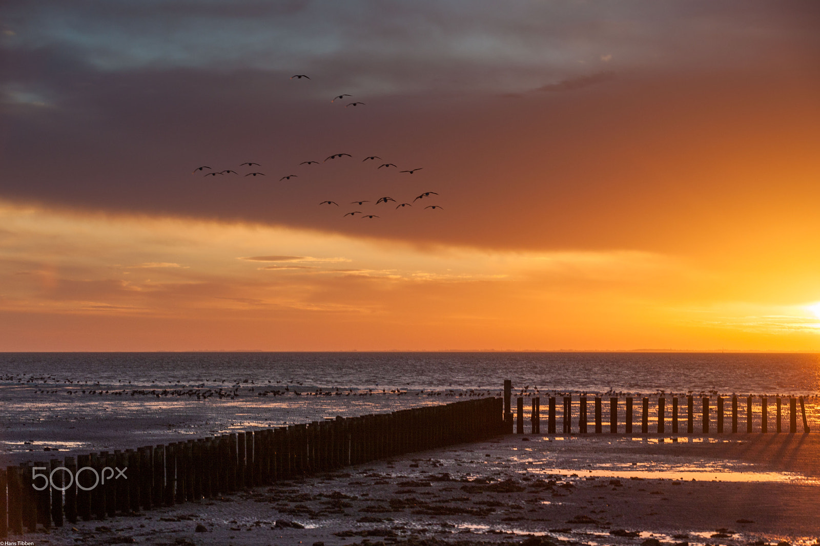 Canon EOS-1Ds Mark III sample photo. Dawn is breaking photography