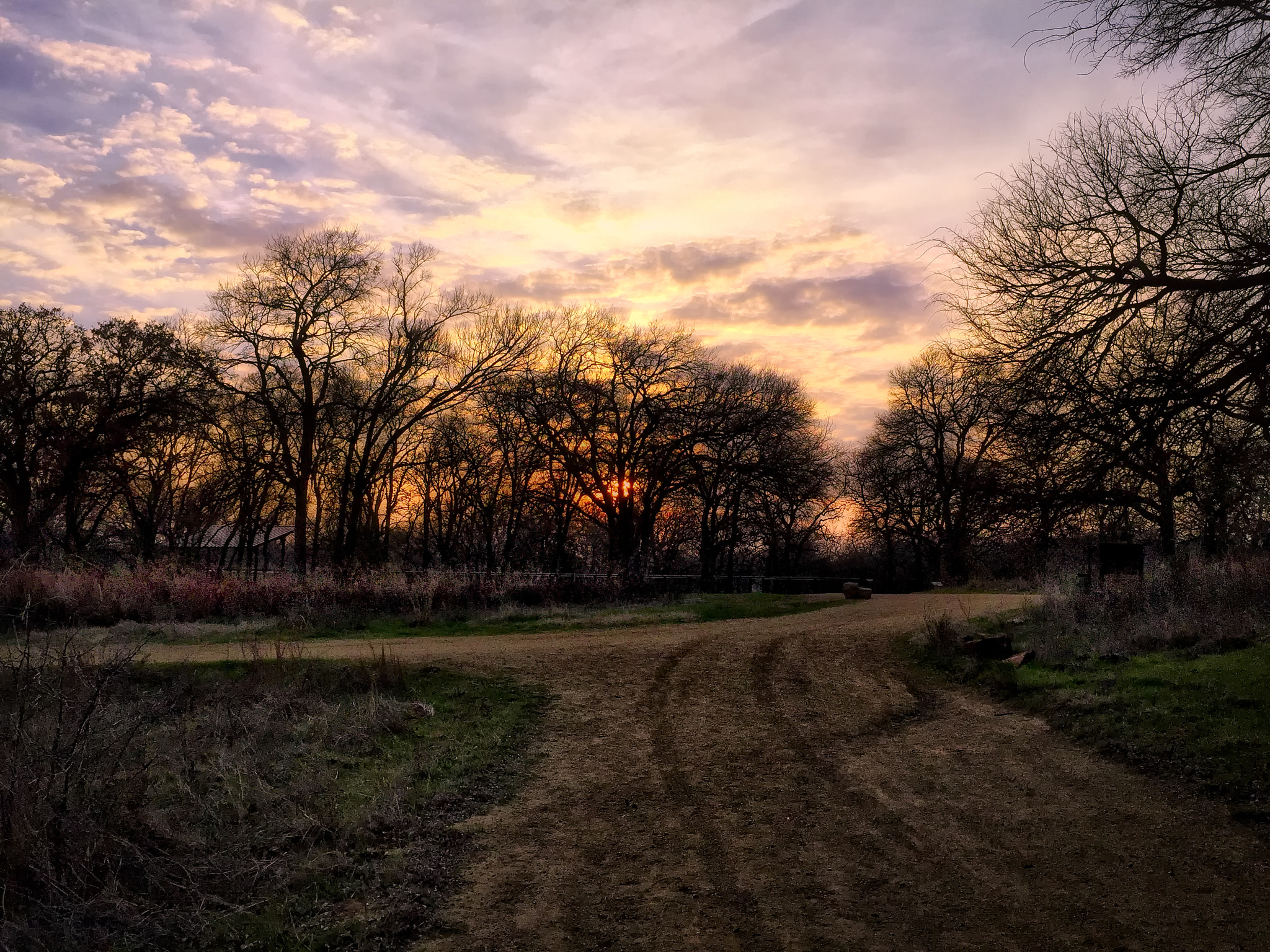 Jag.gr 645 PRO Mk III for Apple iPhone 6 Plus + iPhone 6 Plus back camera 4.15mm f/2.2 sample photo. Sunset at the fork in the road photography