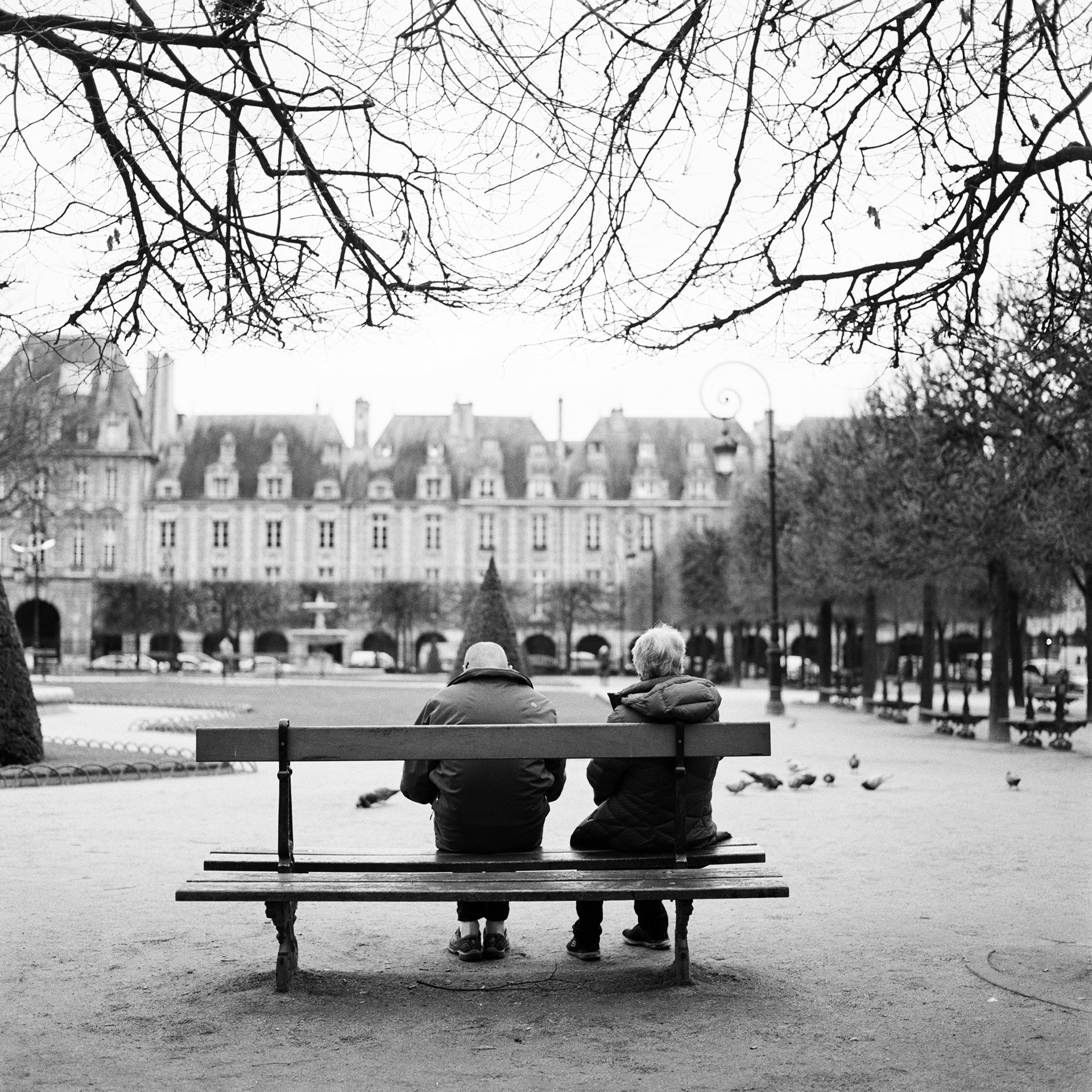 Canon EOS 5DS + Sigma 105mm F2.8 EX DG Macro sample photo. Sur un banc de la place des vosges photography