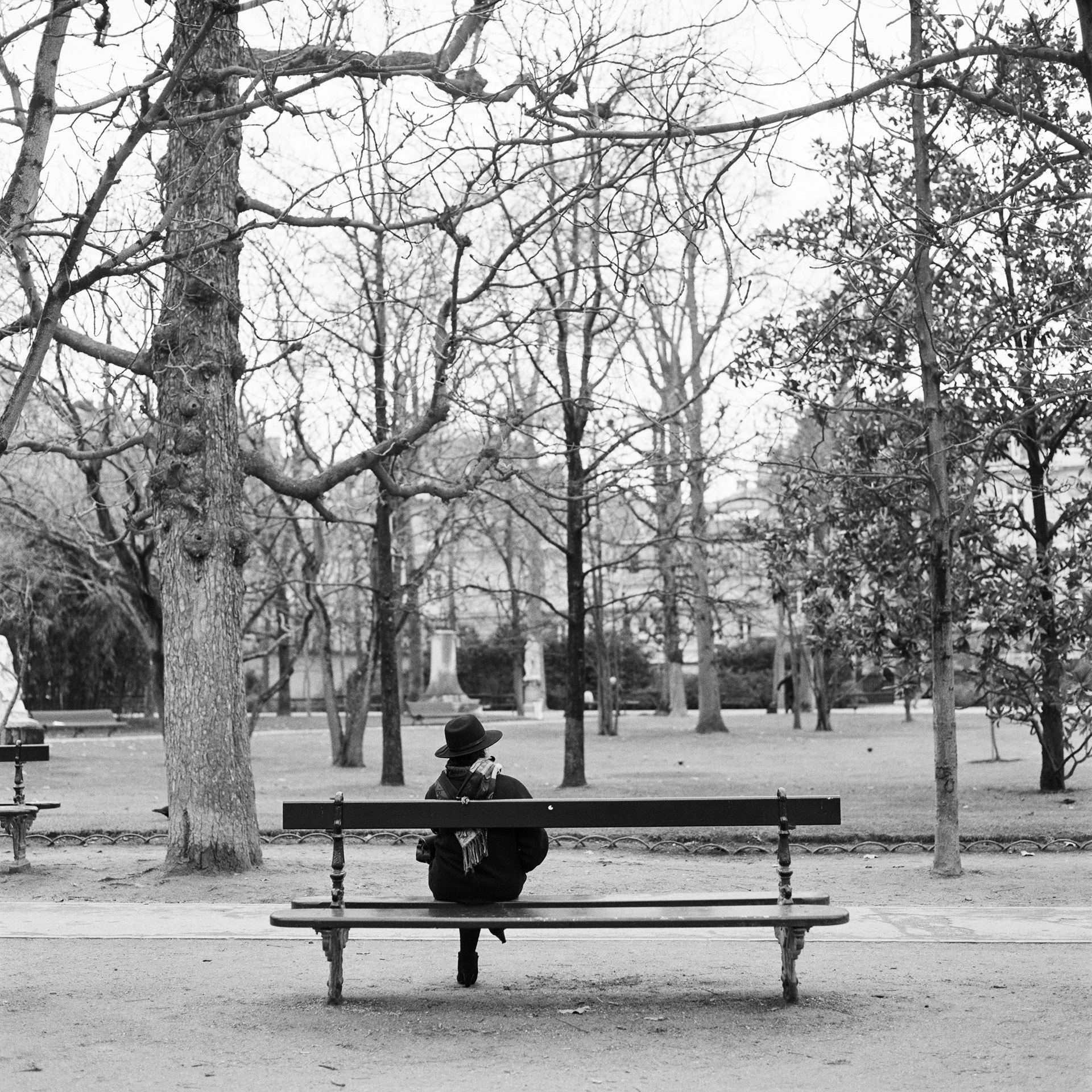 Canon EOS 5DS + Sigma 105mm F2.8 EX DG Macro sample photo. Sur un banc du jardin du luxembourg photography