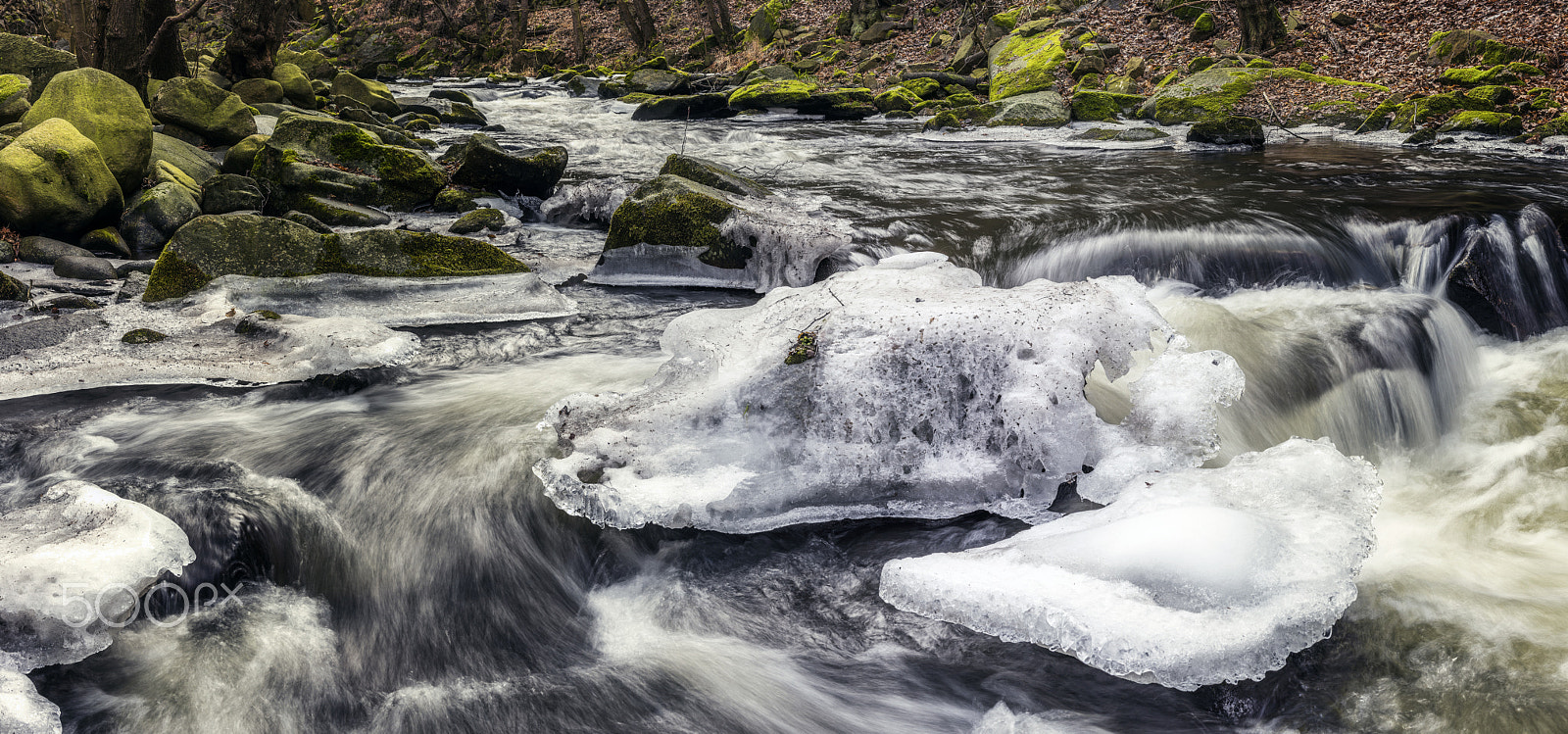 Nikon D810 + Nikon AF-S Nikkor 58mm F1.4G sample photo. Wonderful harz - water games photography