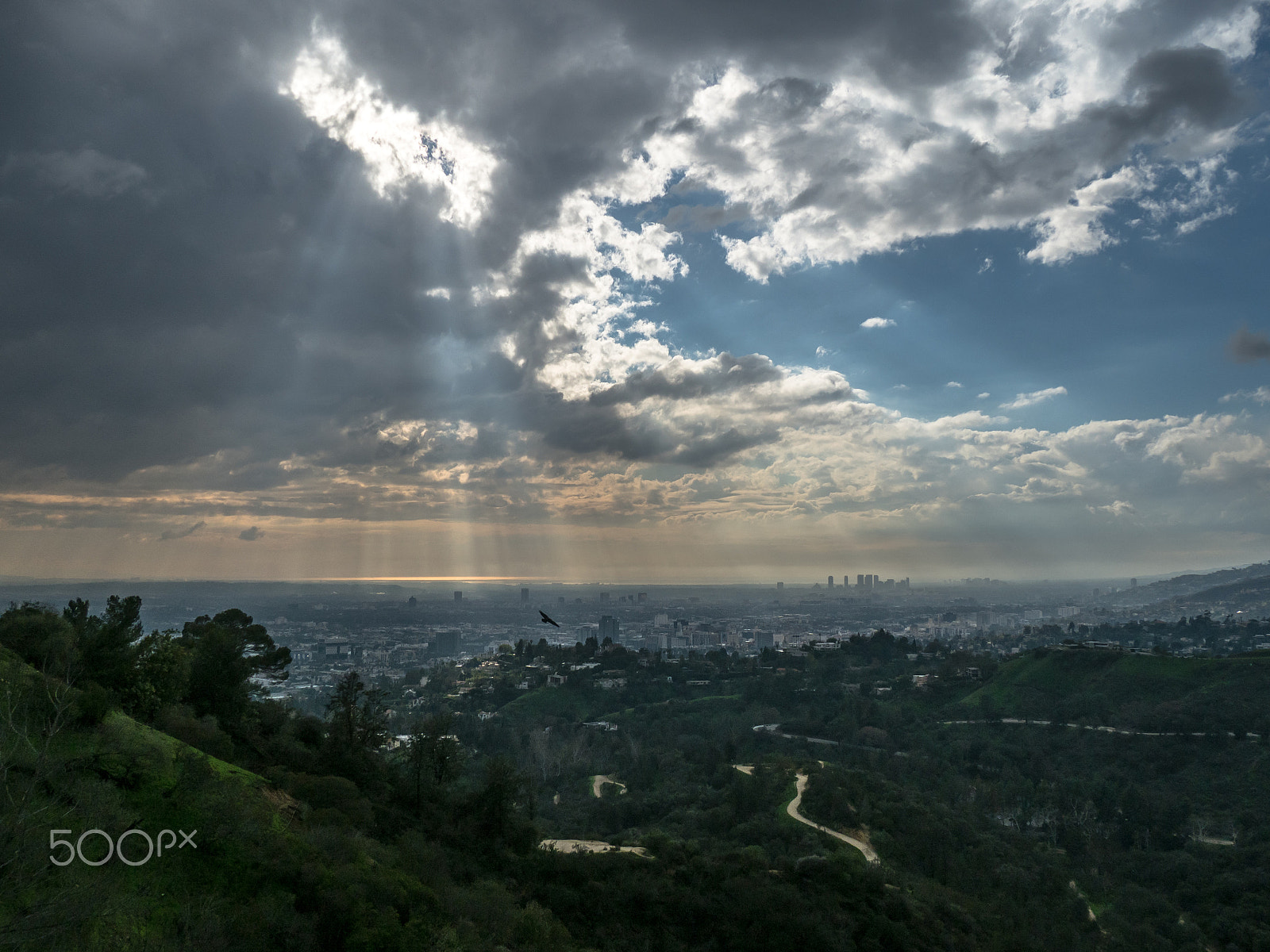 Olympus OM-D E-M5 II sample photo. Los angeles photography