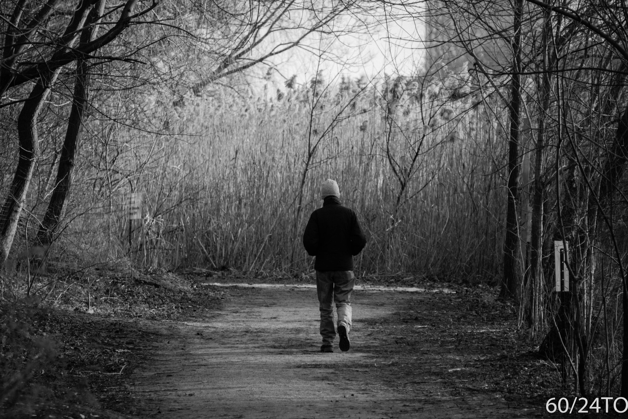 Sony a6300 + Sony E 55-210mm F4.5-6.3 OSS sample photo. Man walking in park photography