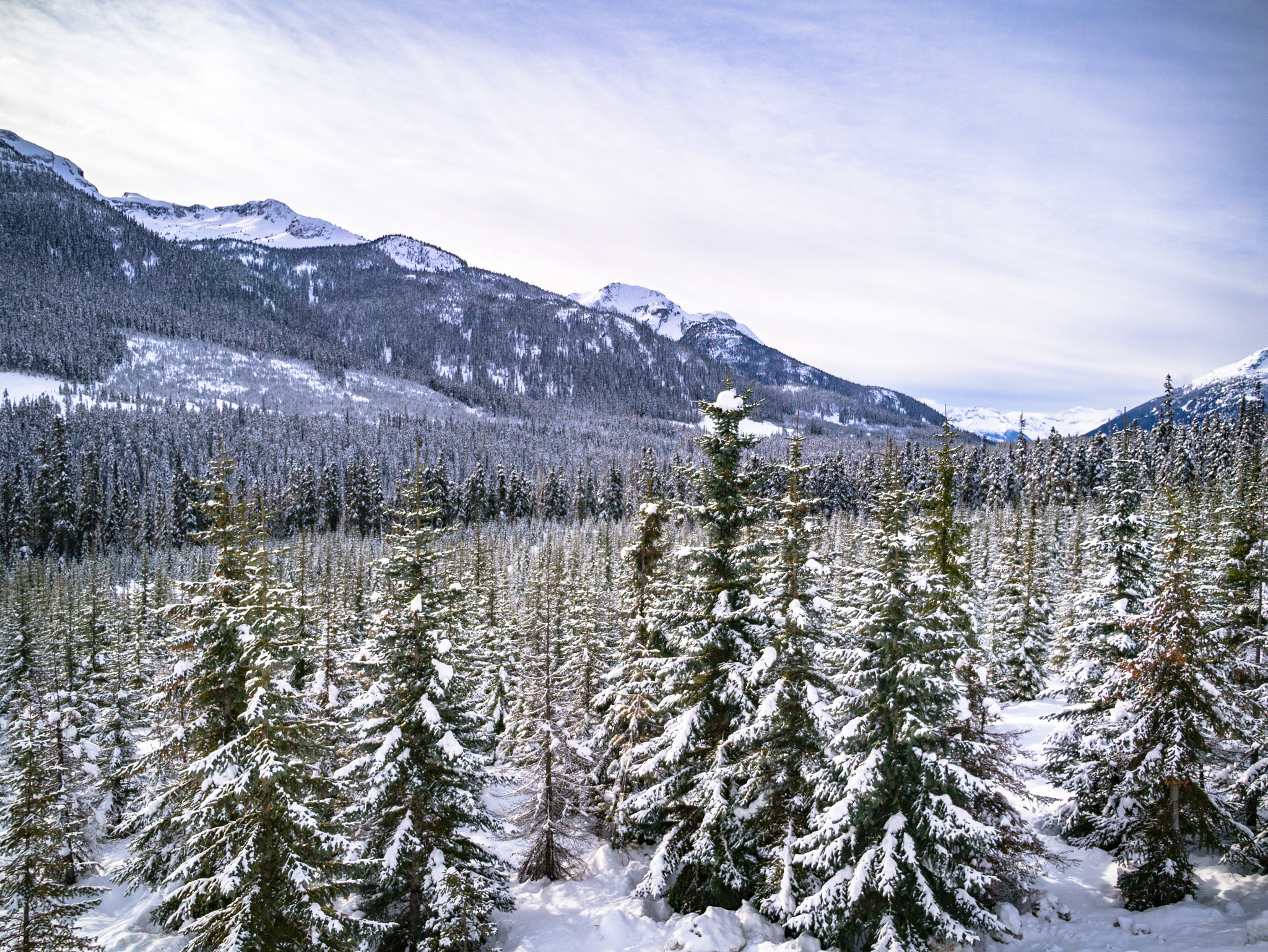 Panasonic Lumix DMC-GX1 sample photo. Joffre peak photography