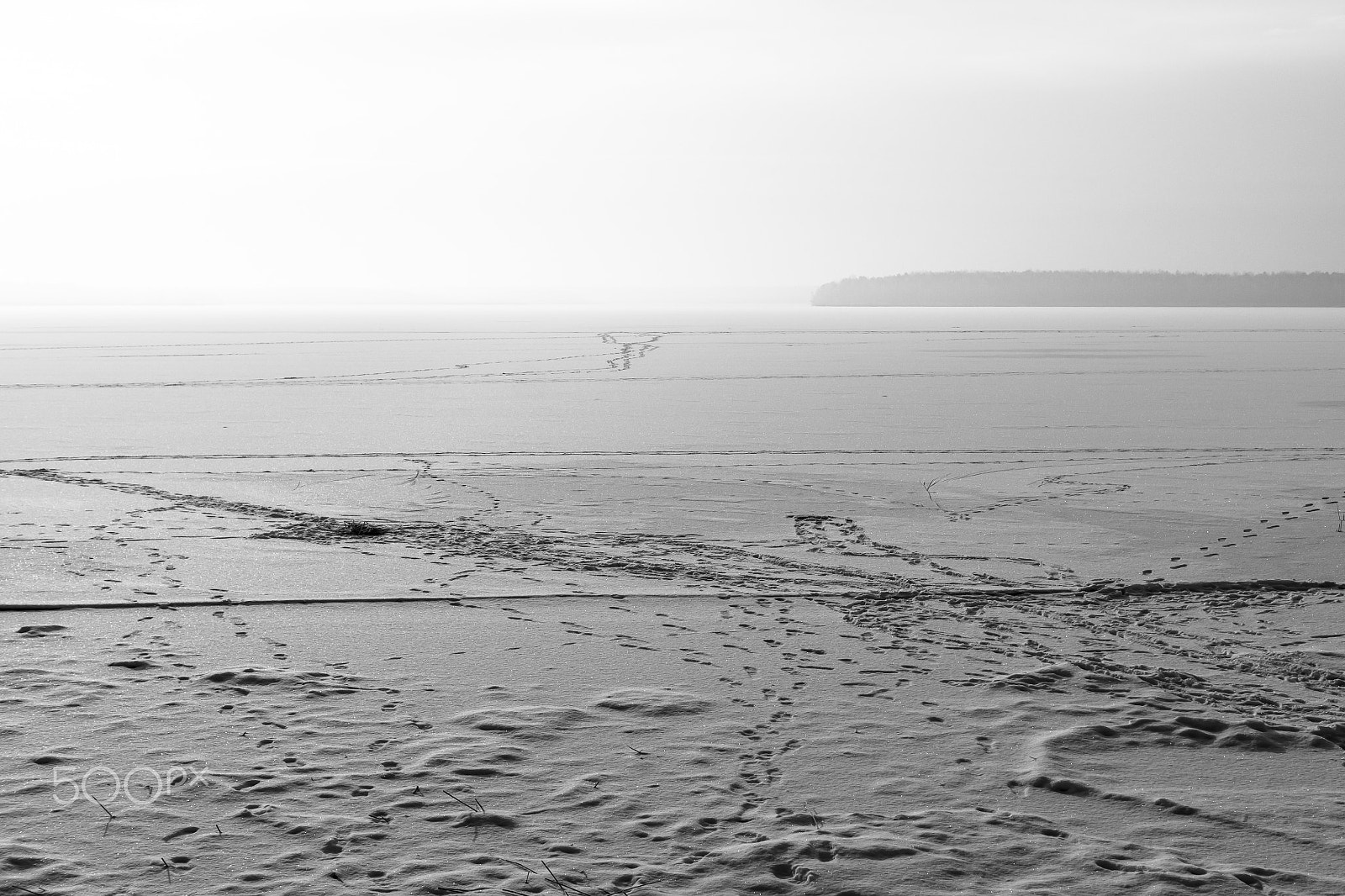 Sony SLT-A77 + Sony DT 35mm F1.8 SAM sample photo. Surface of a frozen lake under the snow. photography